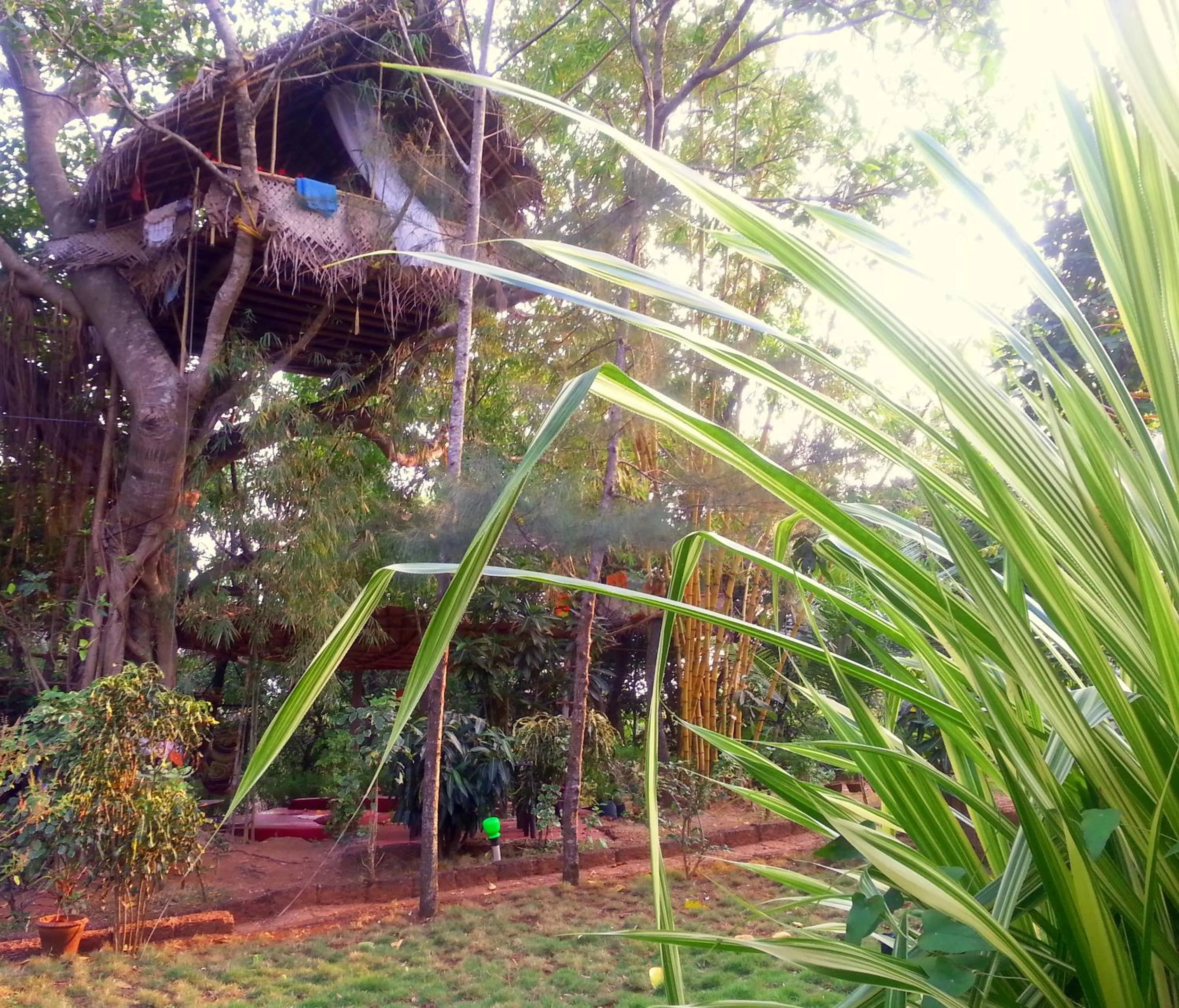 Photo of the whole room in Namaste Yoga Farm