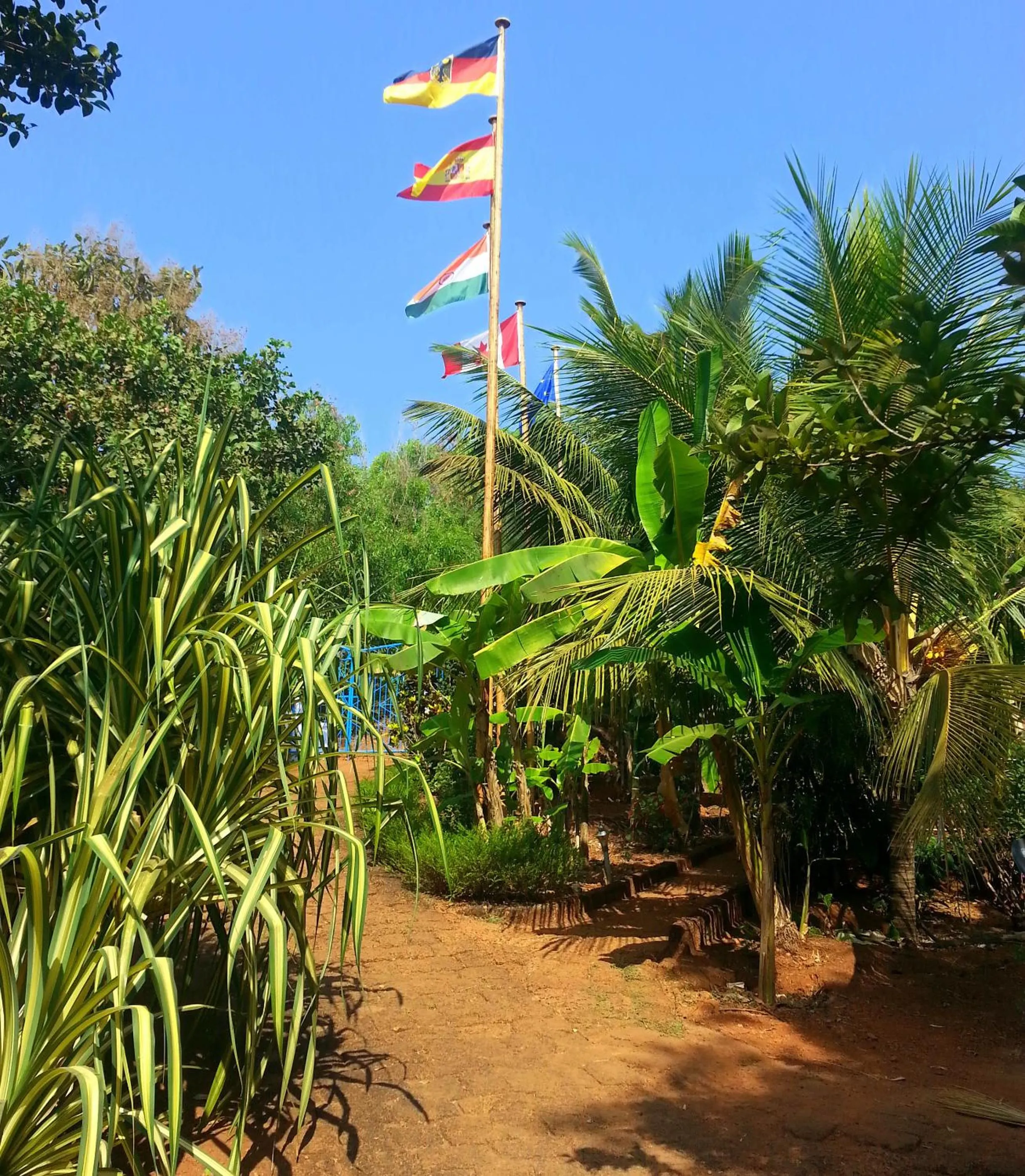 Lobby or reception in Namaste Yoga Farm
