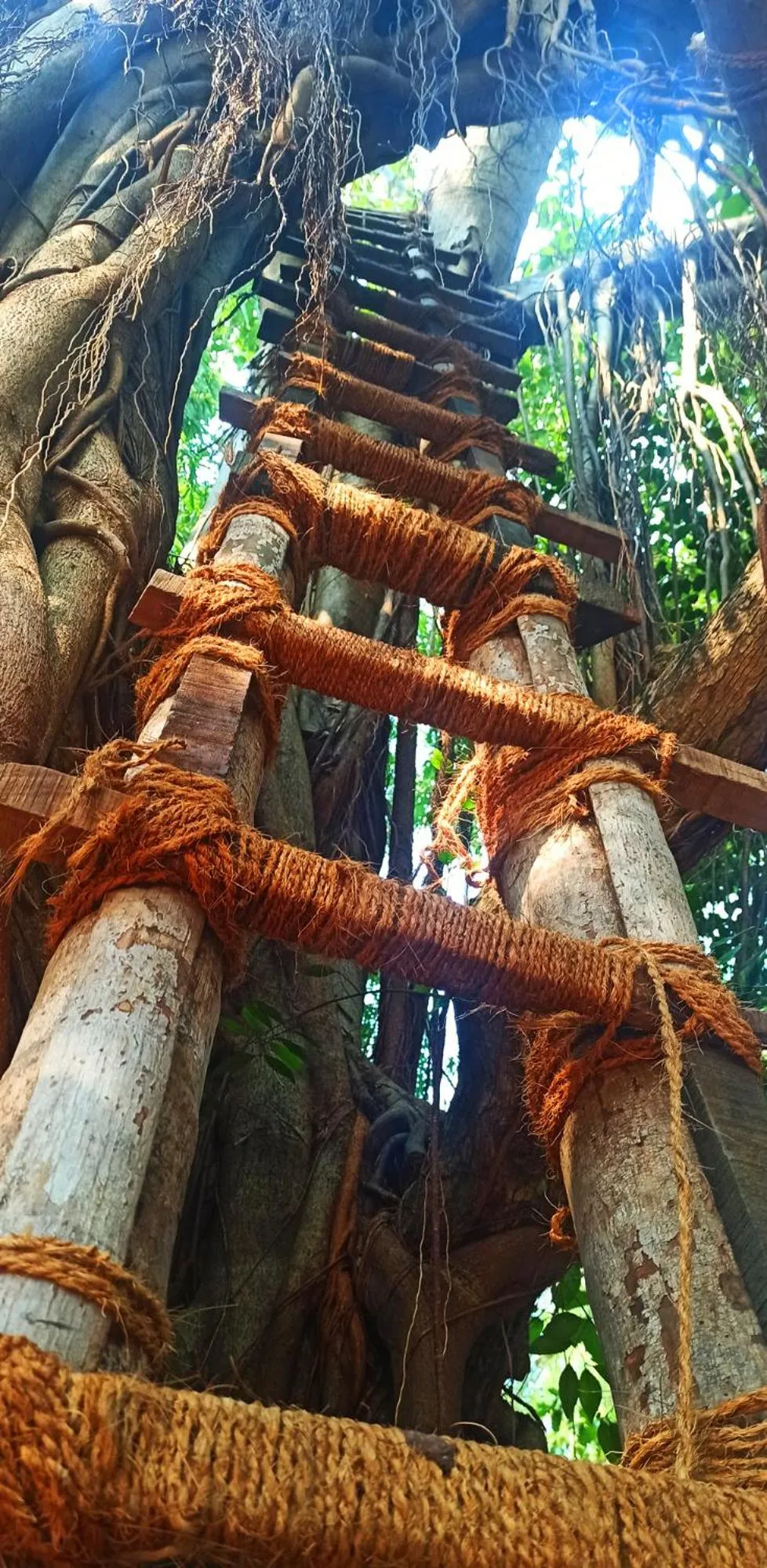 Day in Namaste Yoga Farm