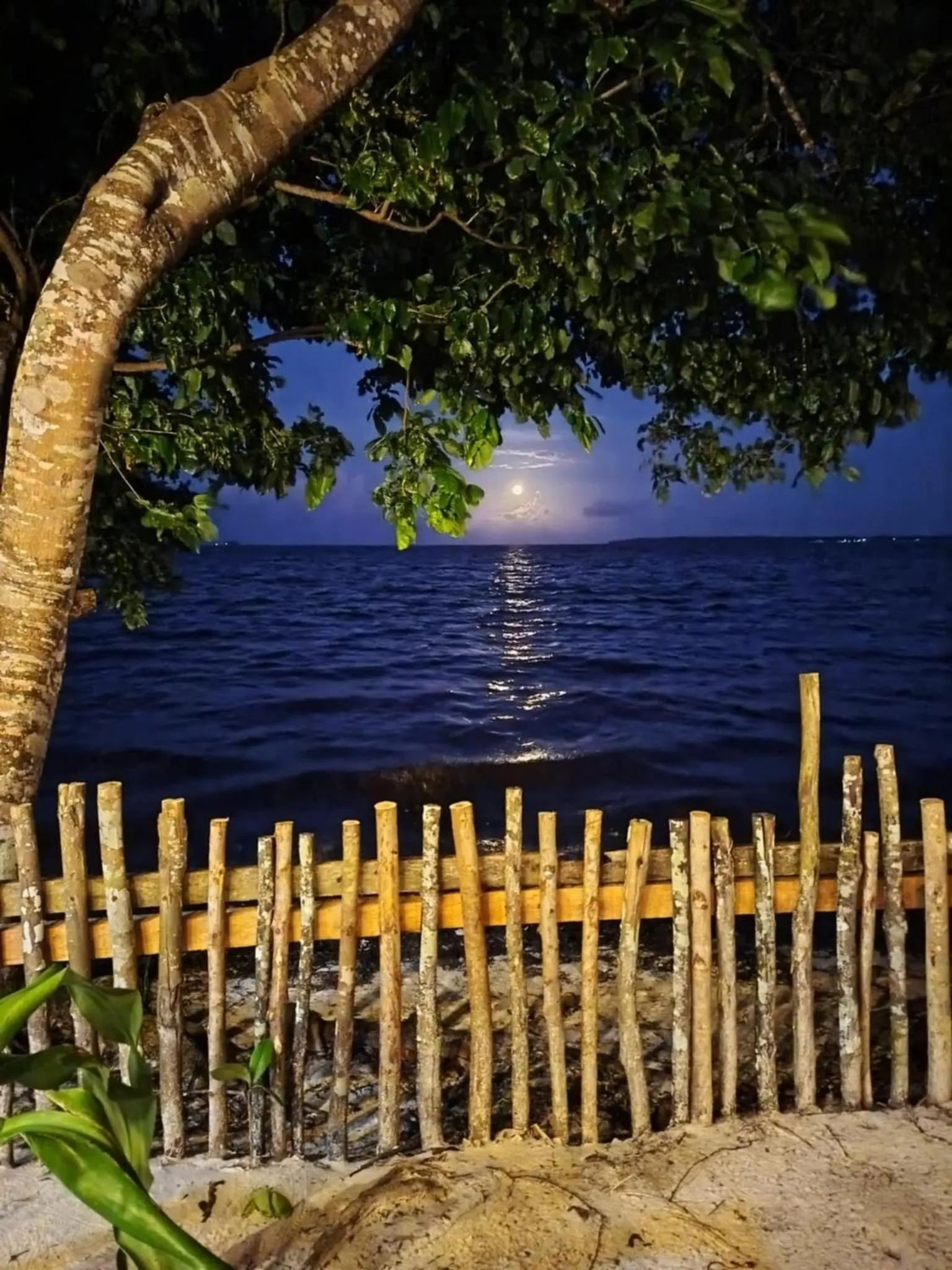 Night in Lagkaw Siargao Villas