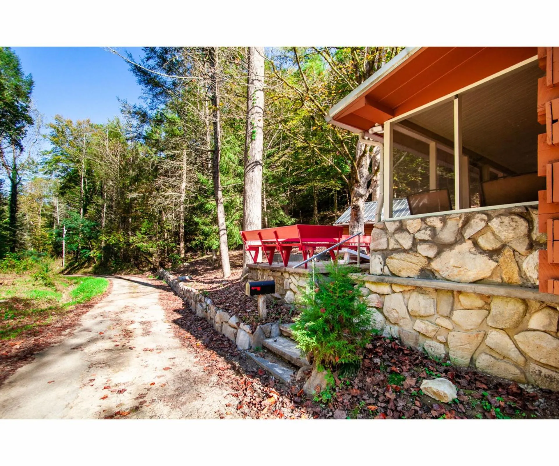 Property building in Beary Relaxing Cabin - Rustic with Outdoor Patio