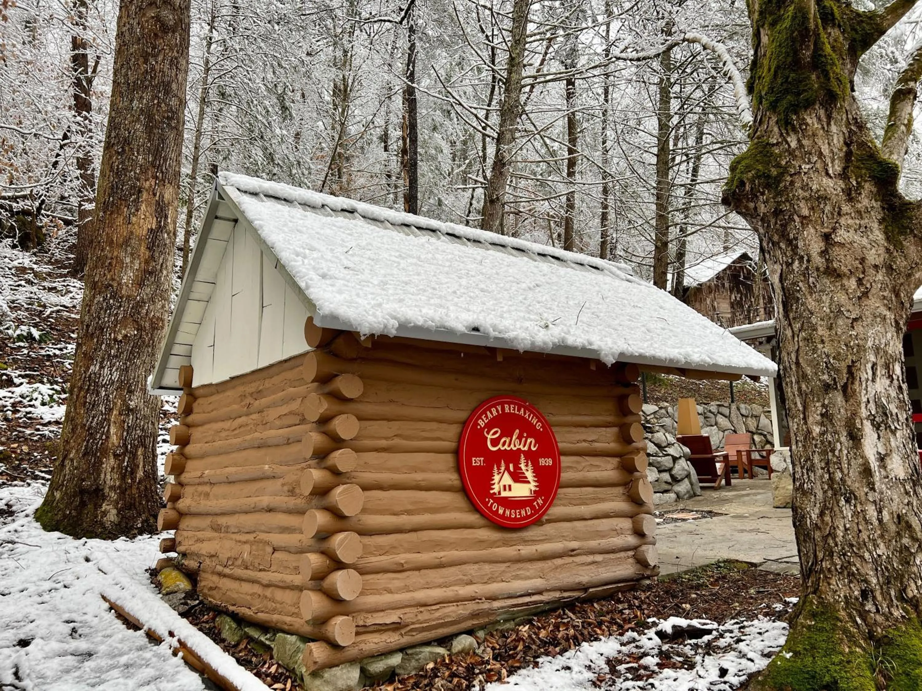 Beary Relaxing Cabin - Rustic with Outdoor Patio