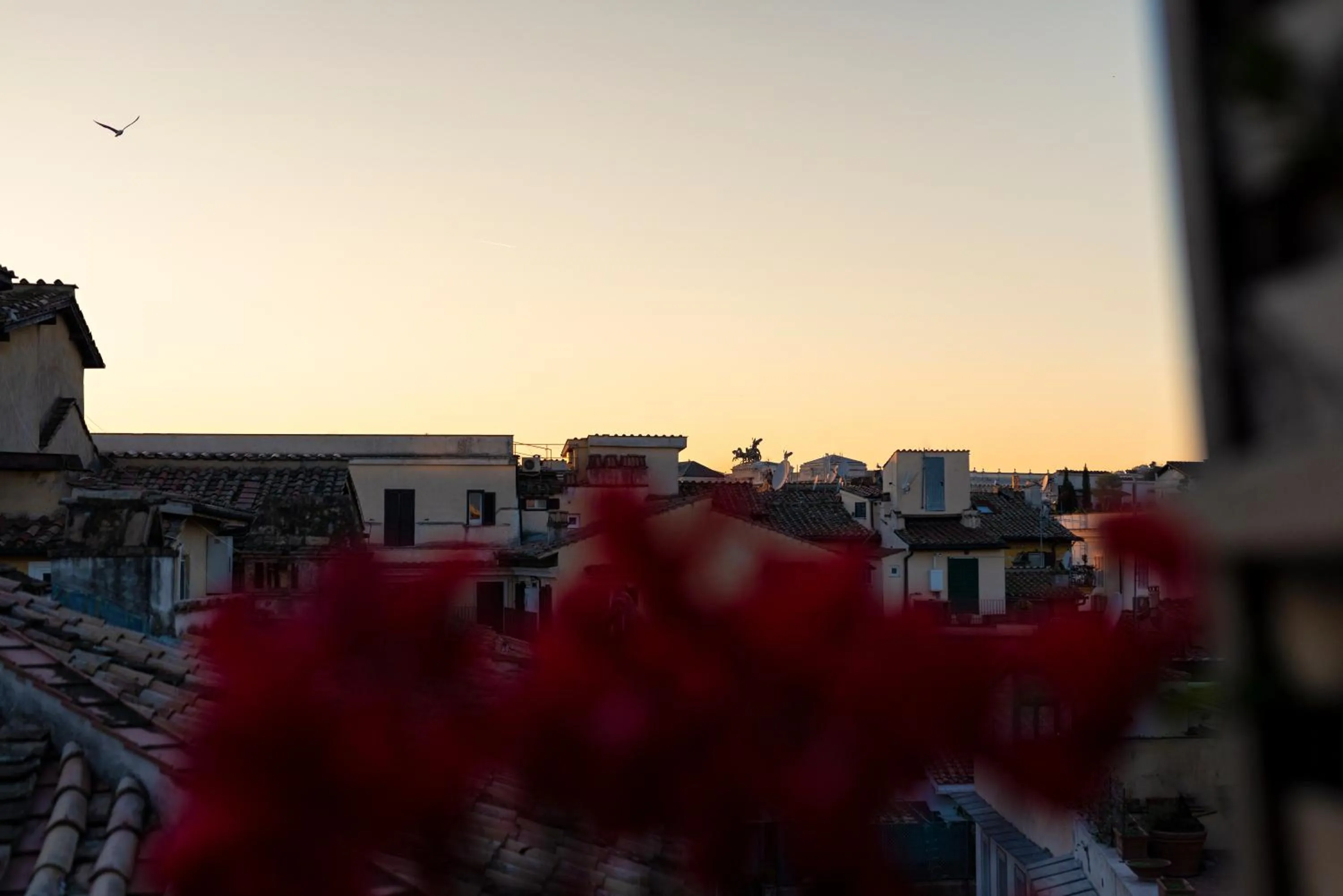 City view in Ara di Marte Suites