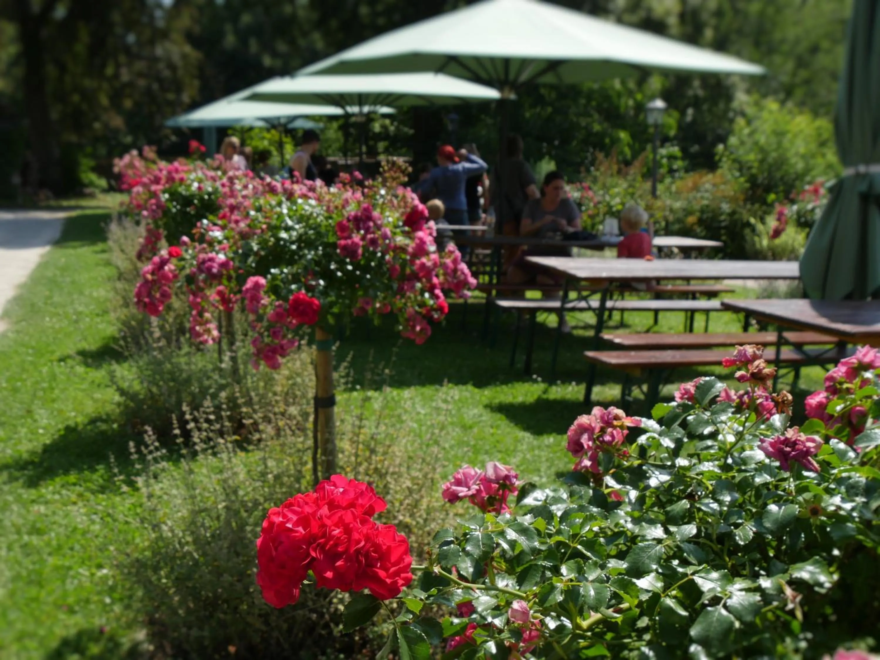 Garden in Burg Bodenstein