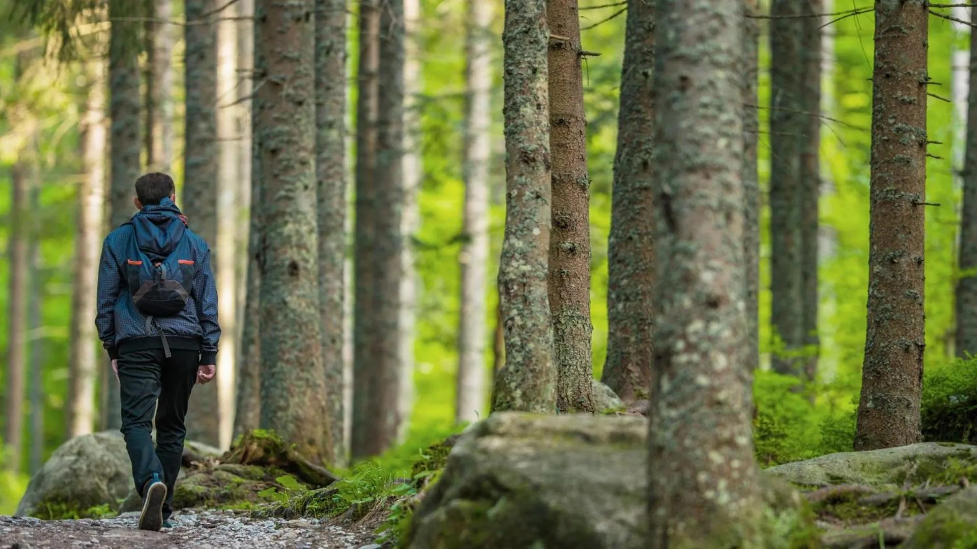 Spring in Hotel Hermitage