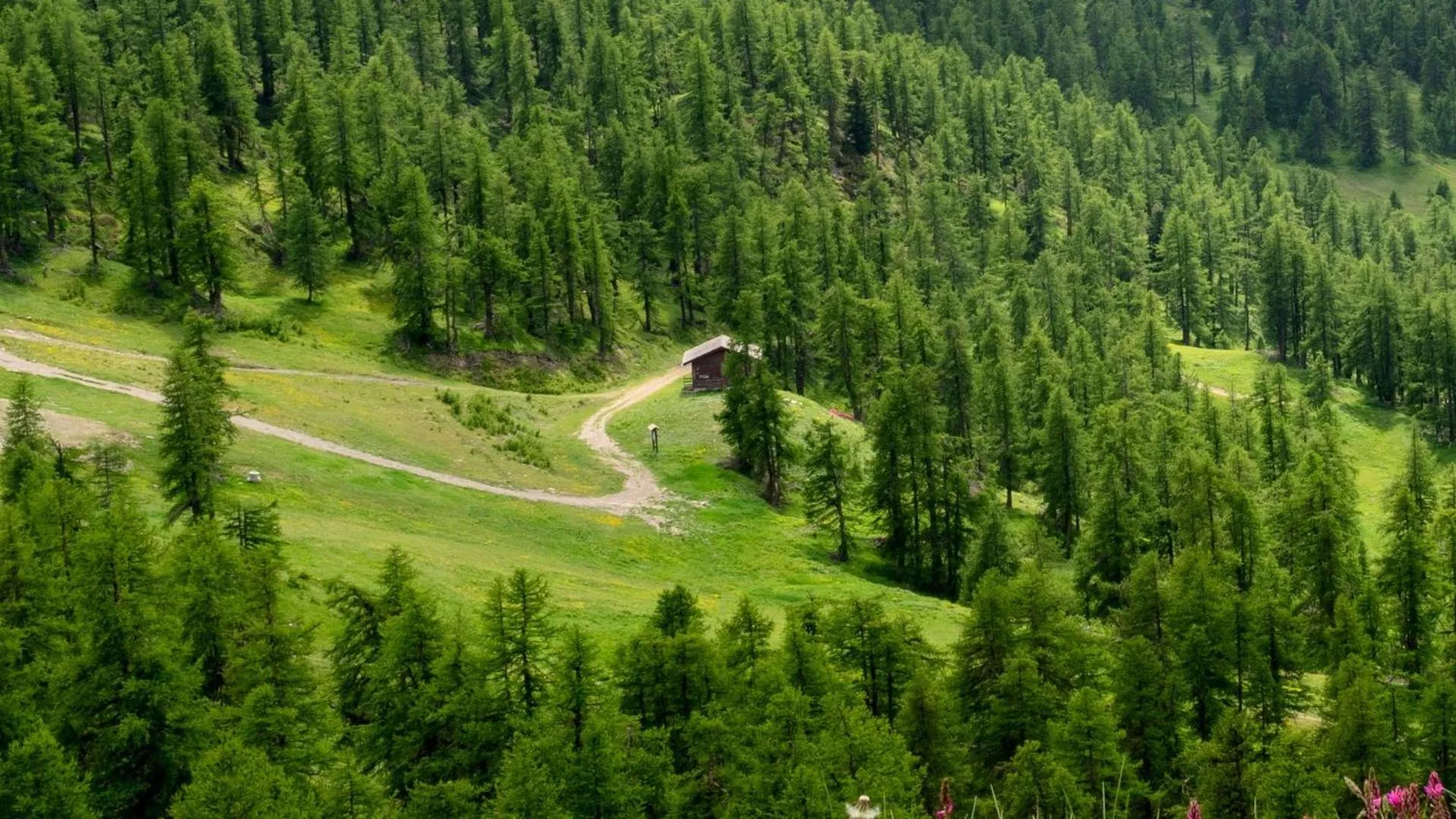 Nearby landmark in Hotel Hermitage