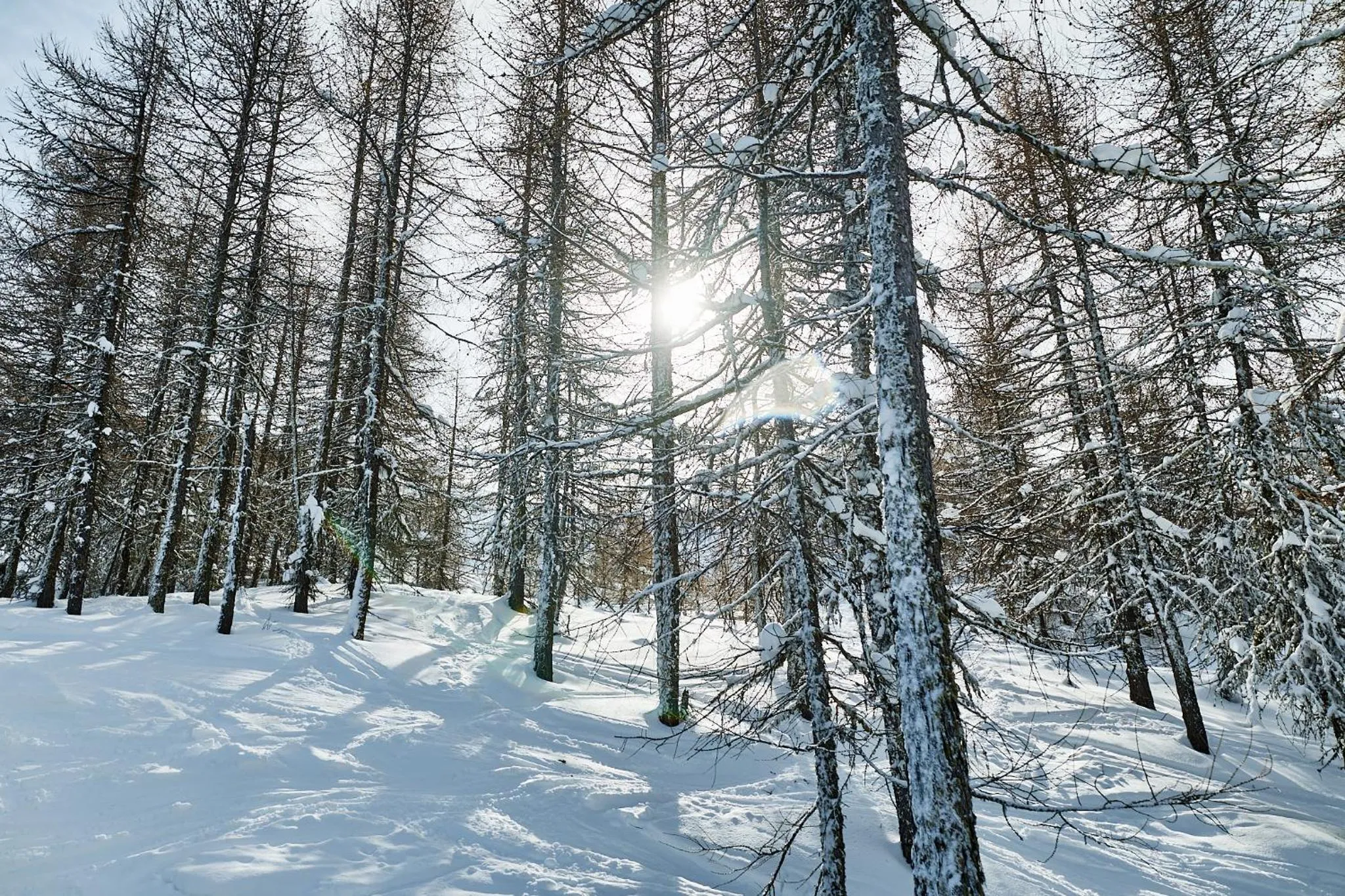 Day in Hotel Hermitage