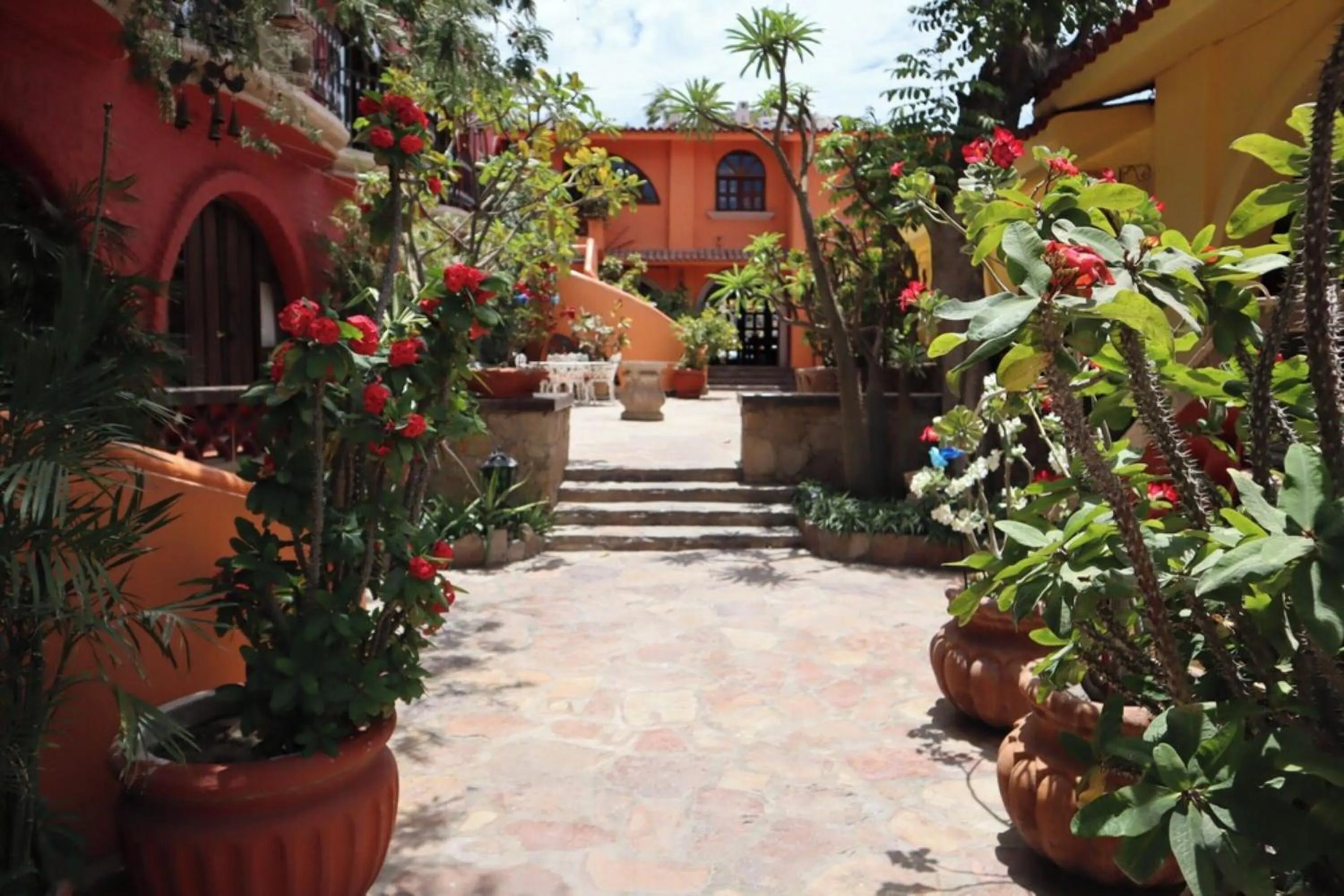 Property building in Collection O Casa Bella Hotel Boutique, Cabo San Lucas