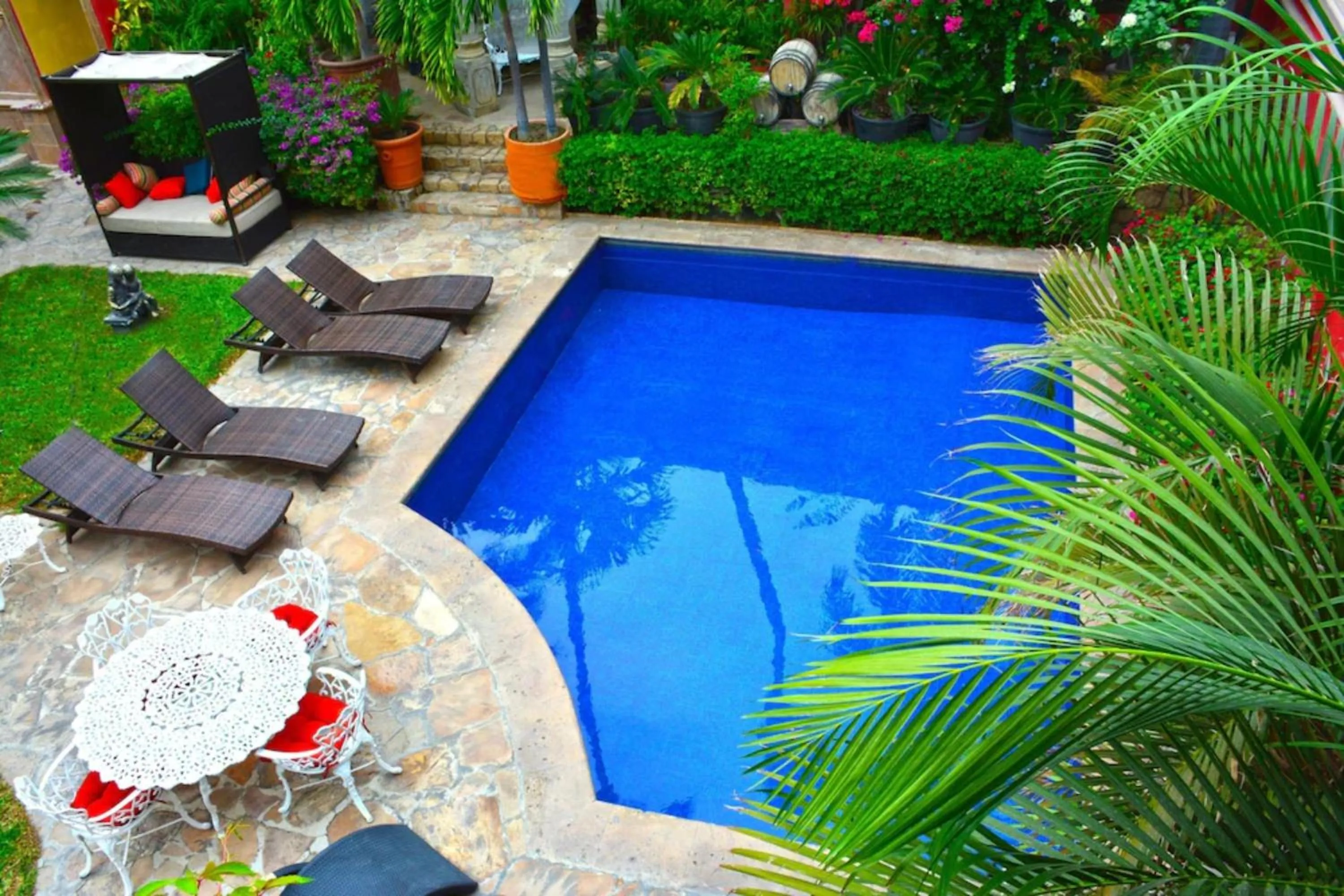 Garden in Collection O Casa Bella Hotel Boutique, Cabo San Lucas