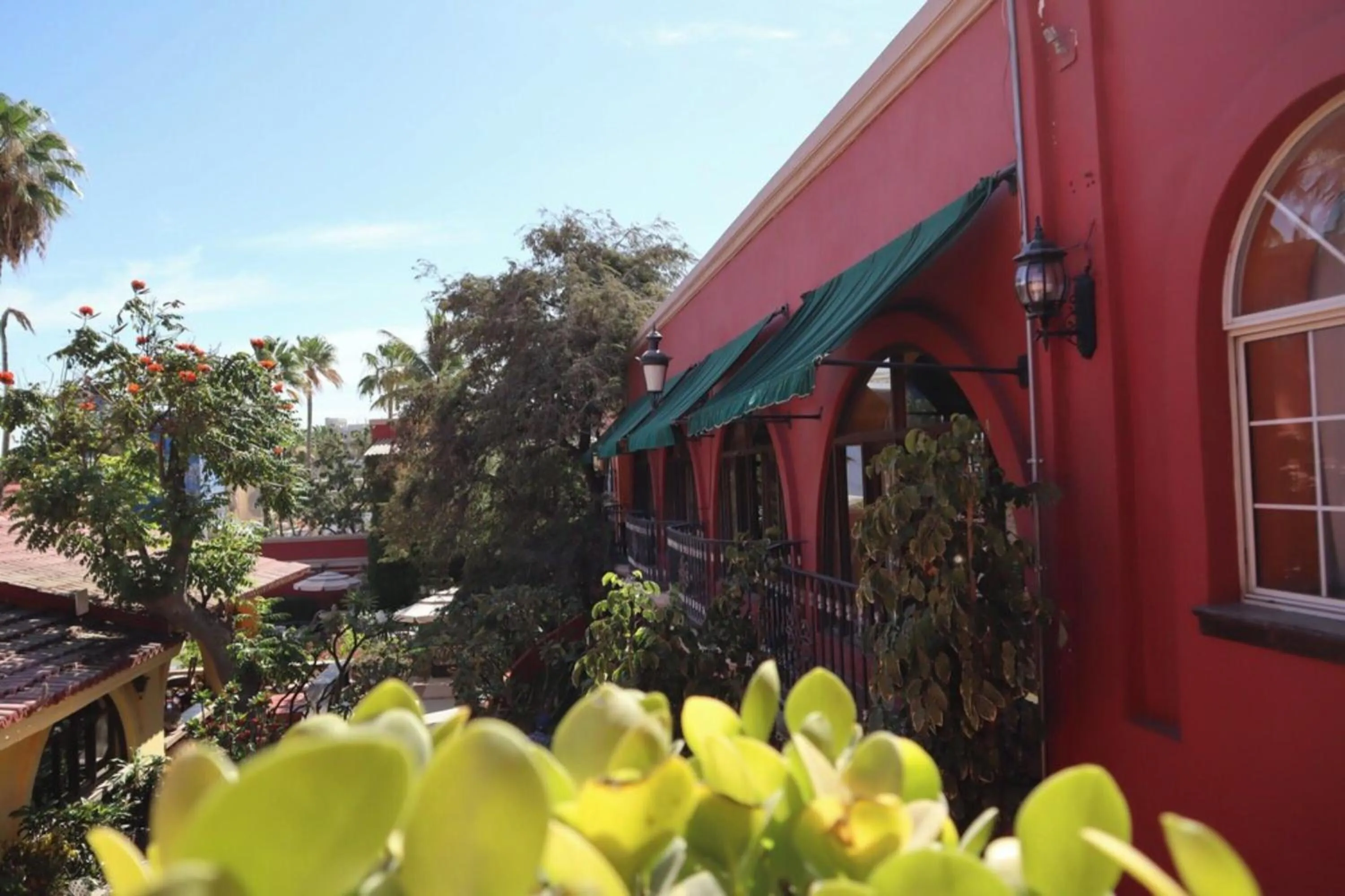 Property building in Collection O Casa Bella Hotel Boutique, Cabo San Lucas