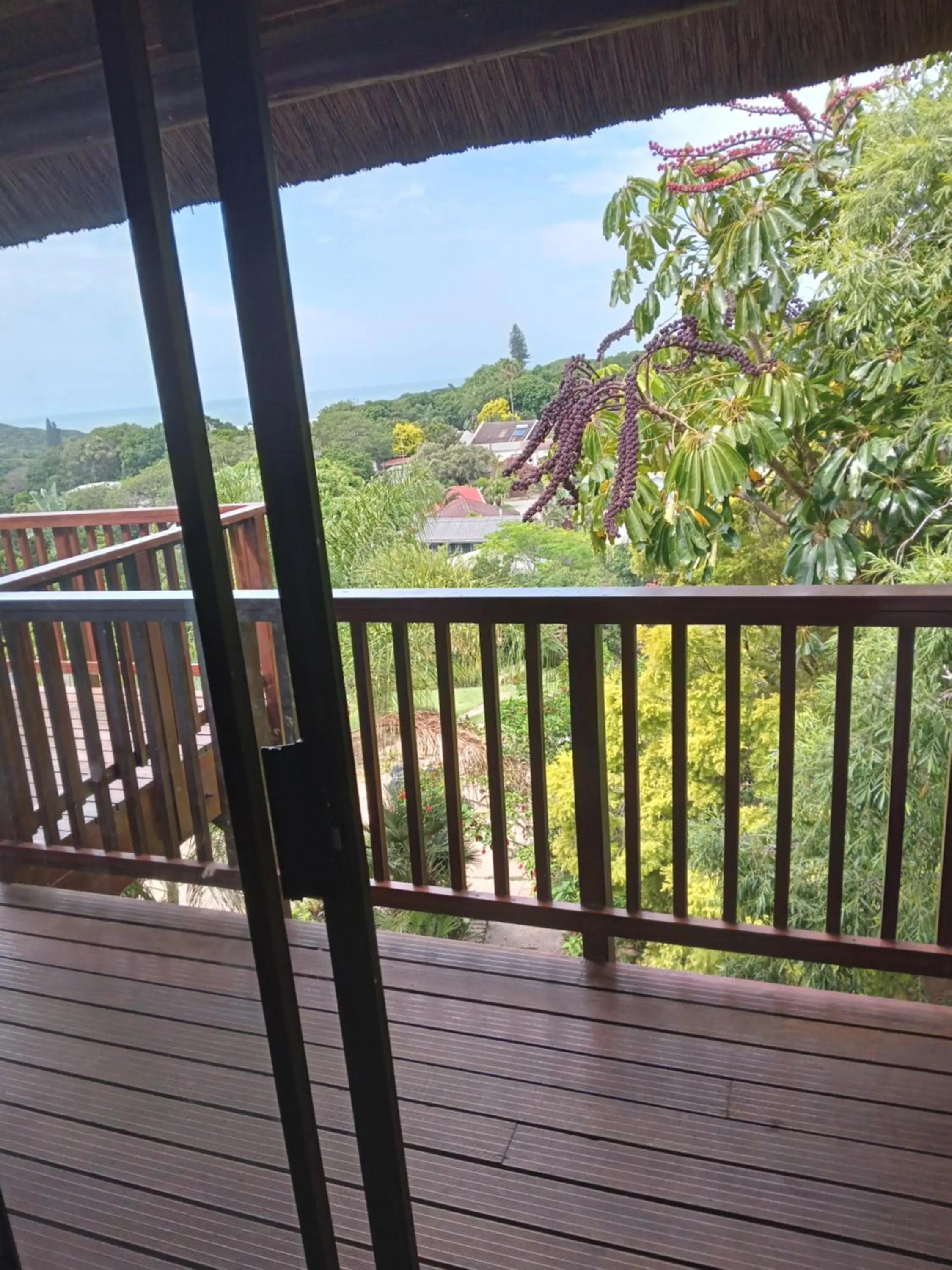 Balcony/Terrace in THE THATCH HIDE