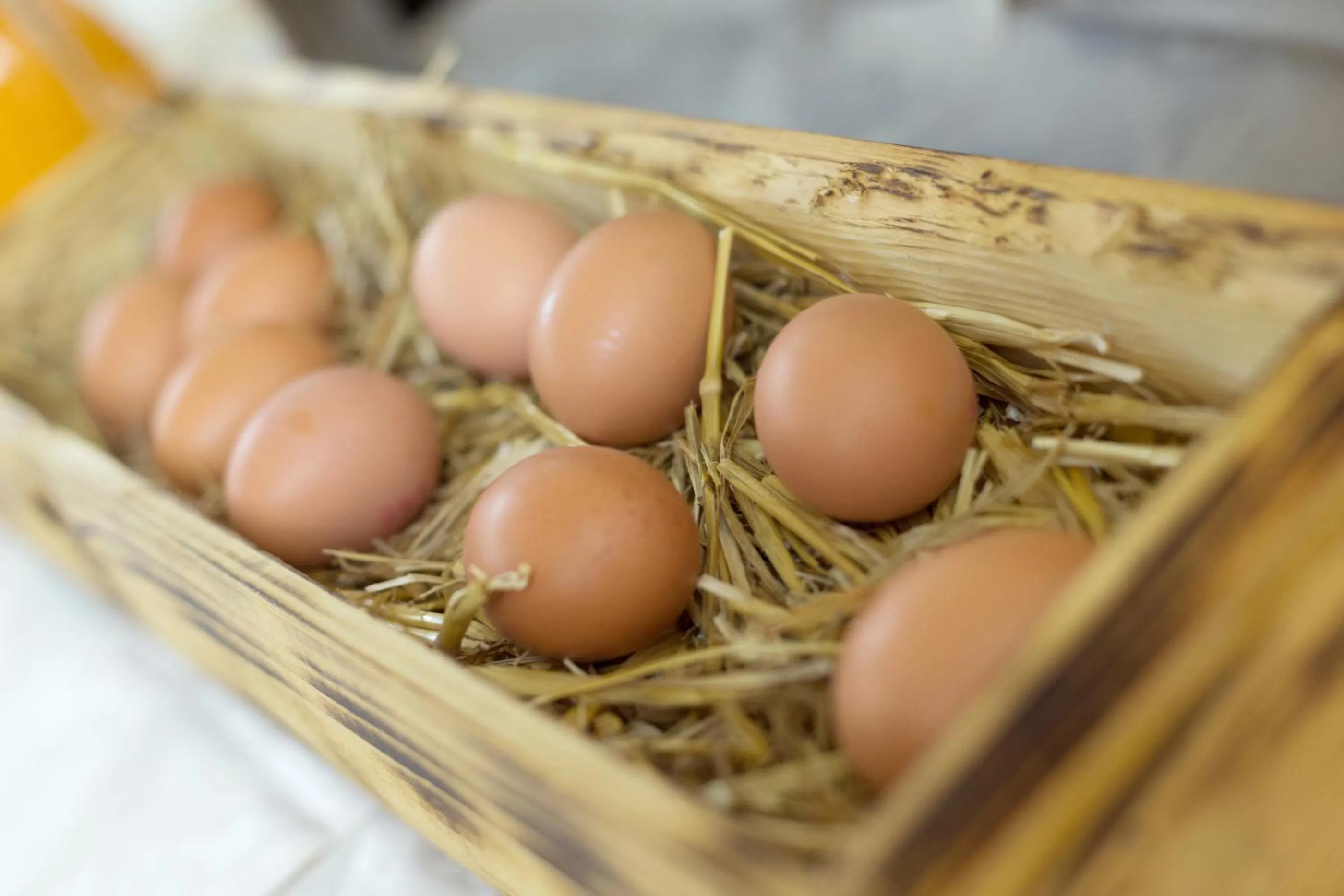 Restaurant/places to eat in Hotel Stockholm