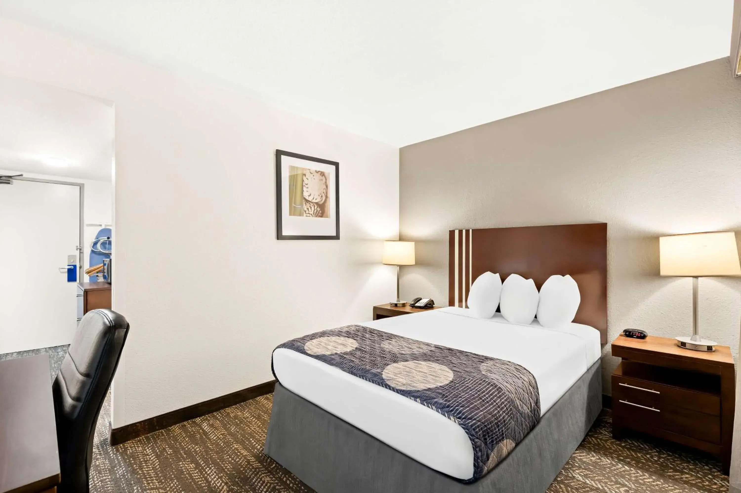 Double Room with Mobility Accessible Tub in Best Western Yacht Harbor Hotel Double Room with Mobility Accessible Tub in Best Western Yacht Harbor Hotel