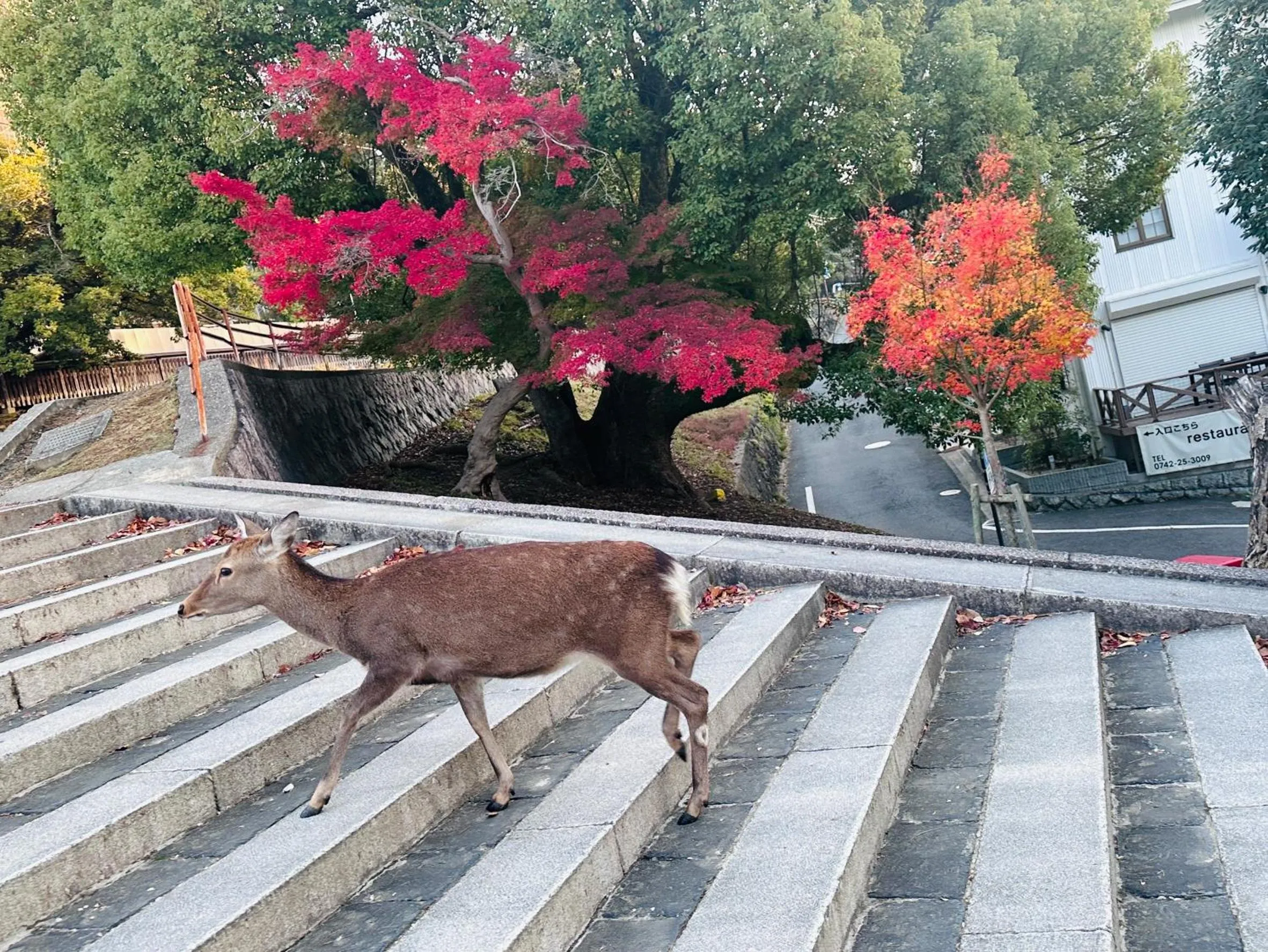 Nearby landmark in Kousen Annex Kazeya Group