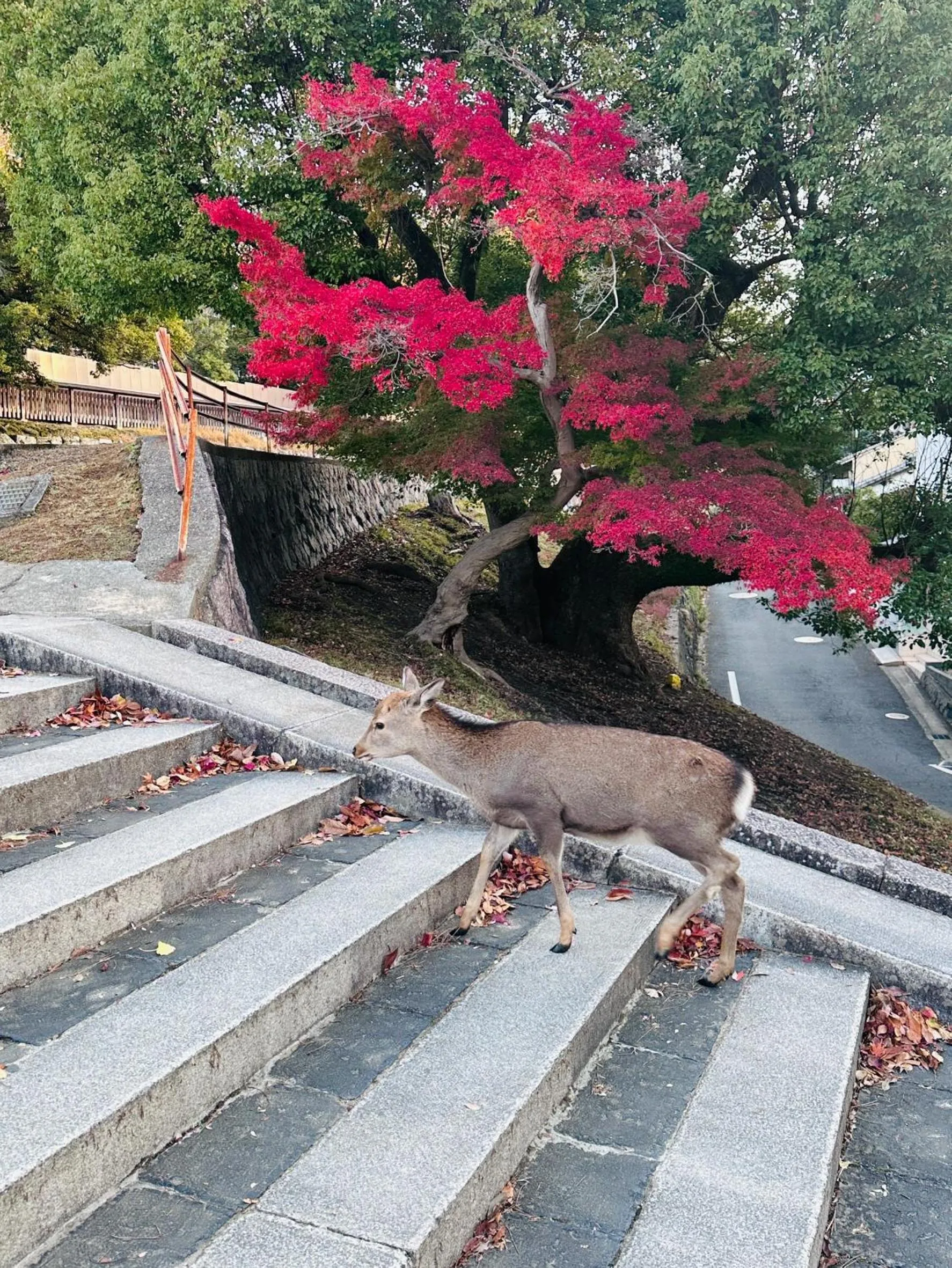 Nearby landmark in Kousen Annex Kazeya Group
