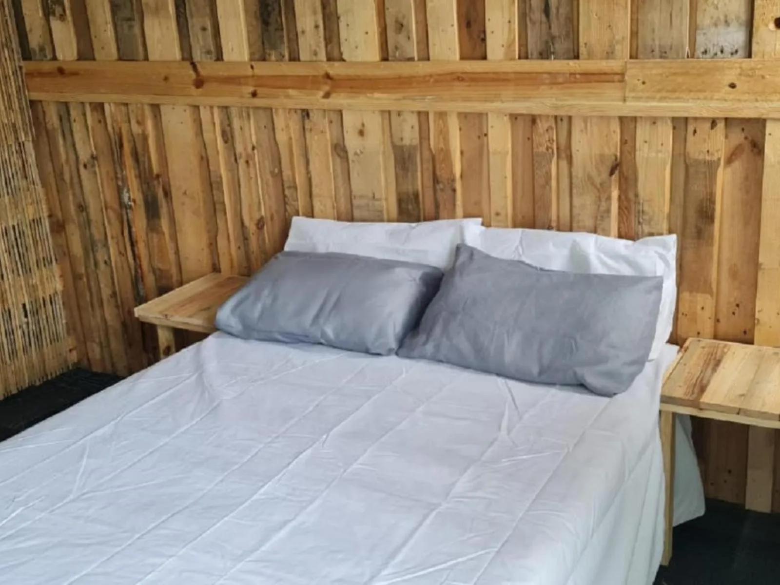 Bed in Sunset beach backpackers