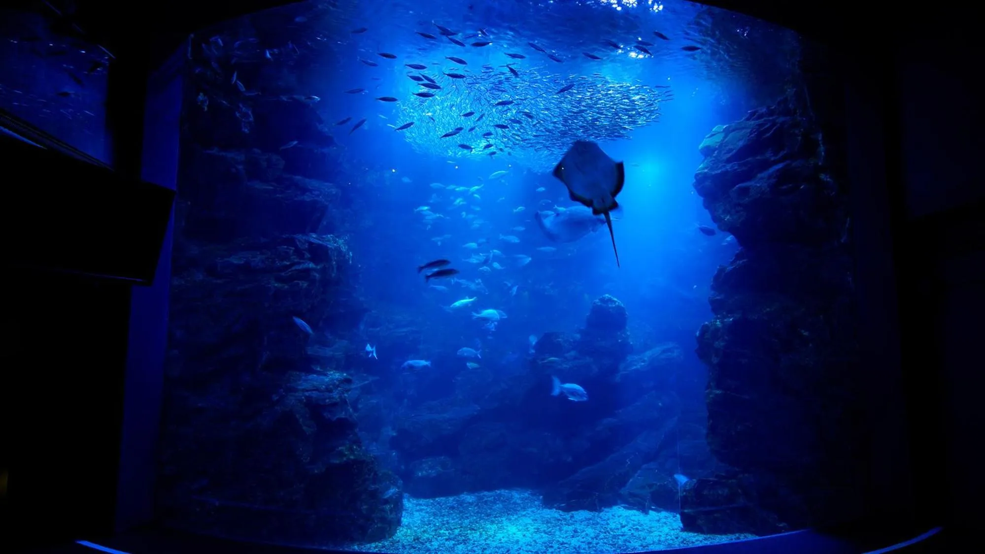 Nearby landmark in Toyoko Inn Kyoto Gojo omiya