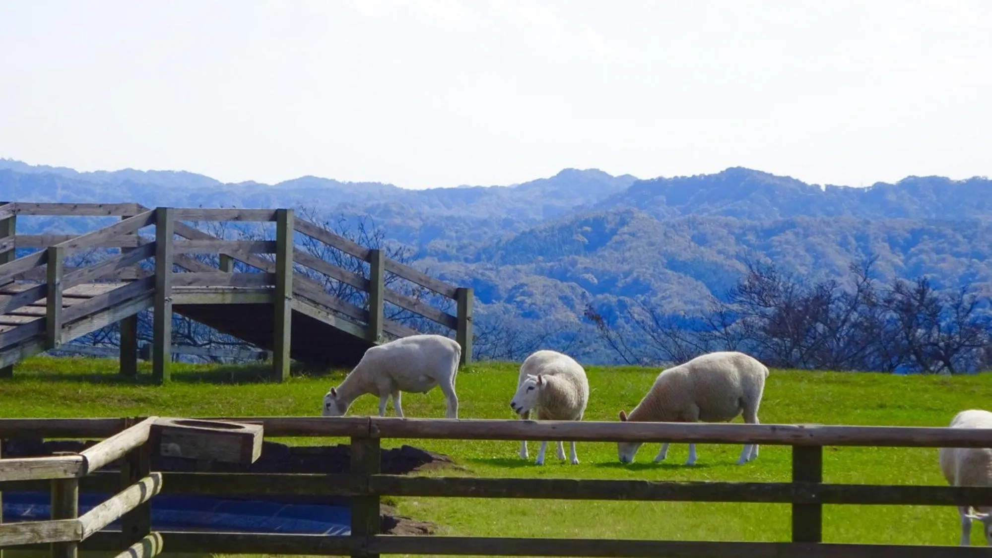 Nearby landmark in Toyoko Inn Sodegaura eki Kita guchi