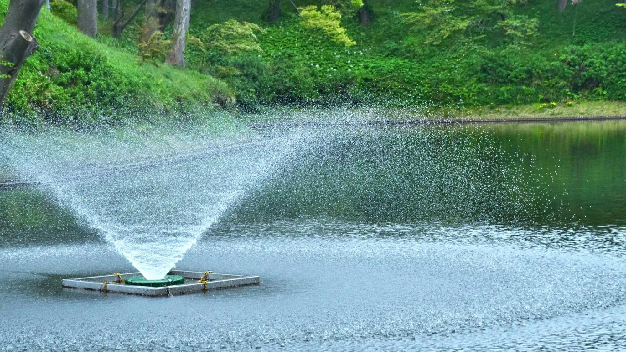 Nearby landmark in Toyoko Inn Joetsu myoko eki Nishi guchi