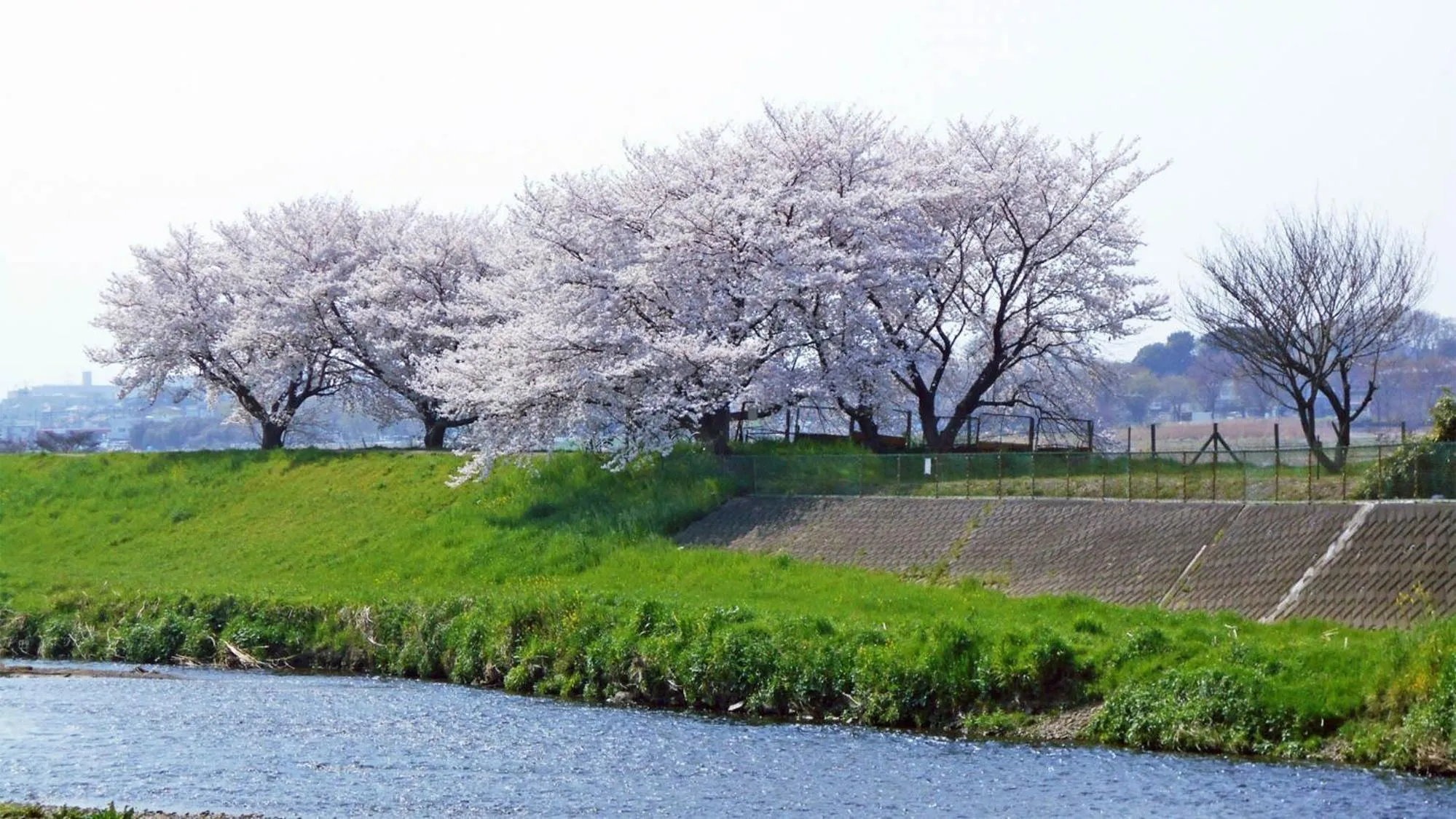 Nearby landmark in Toyoko Inn Shiki eki Higashi guchi