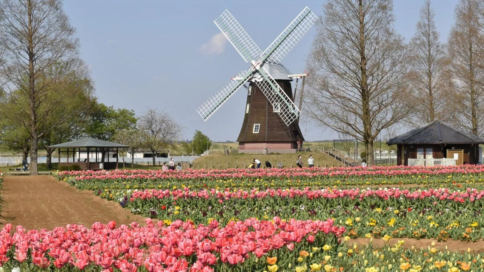 Nearby landmark in Toyoko Inn Kashiwa eki Nishi guchi