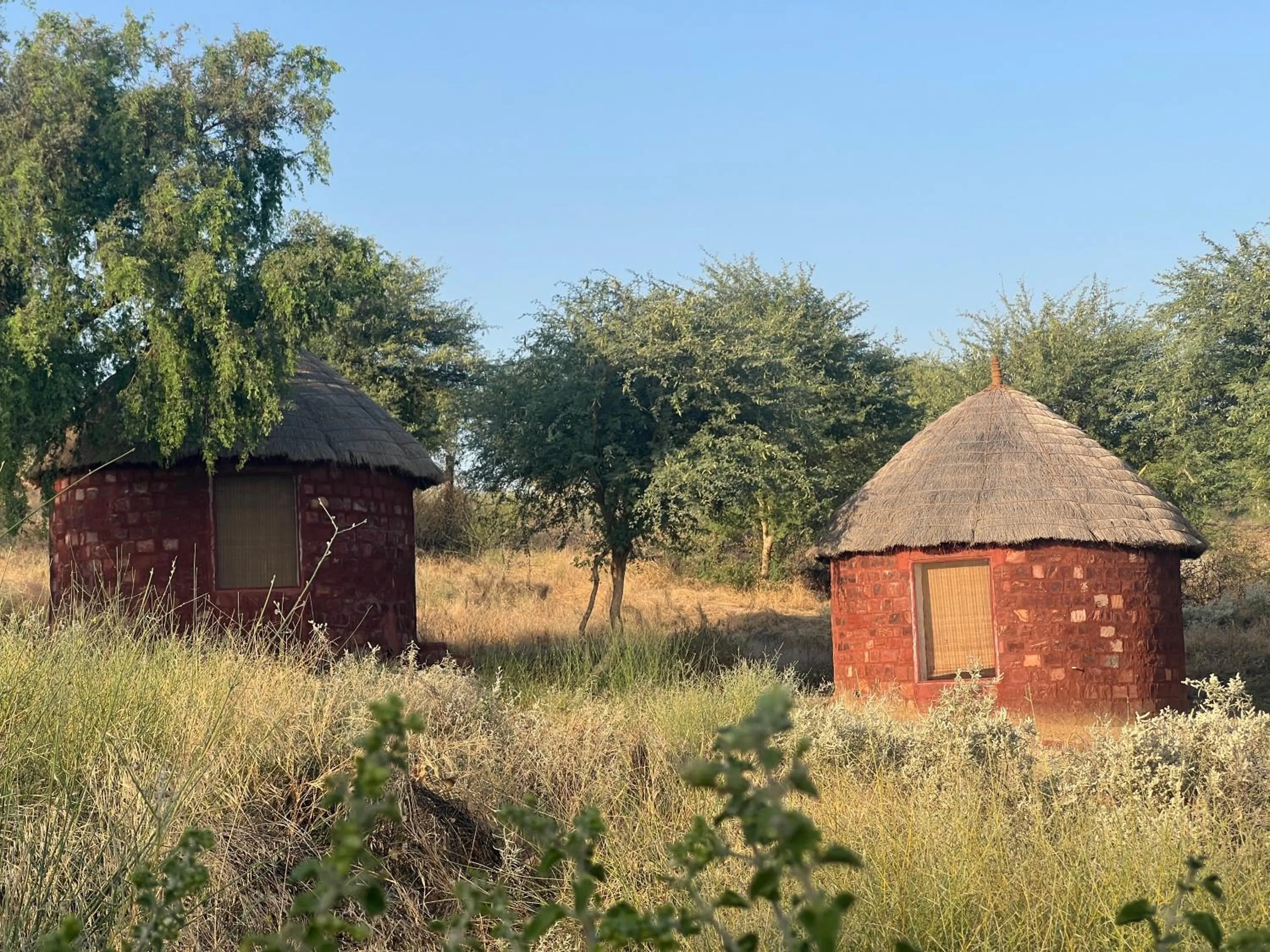 Massage in Kaner Retreat - India's First Desert Botanical Resort