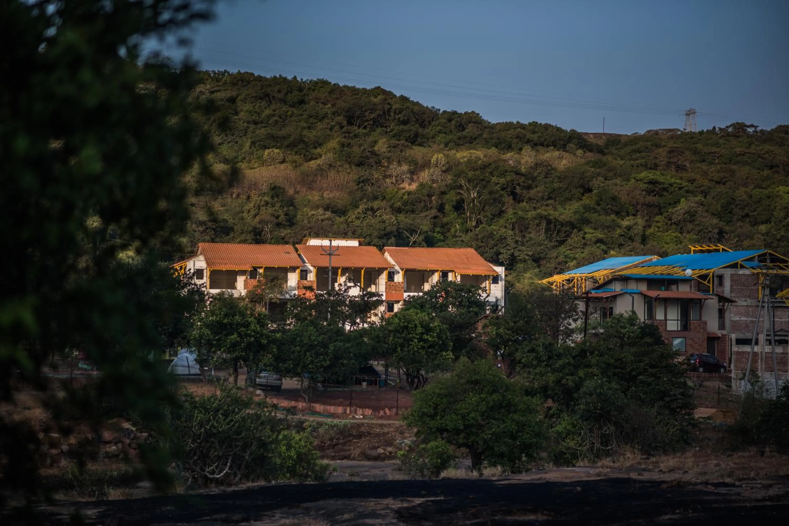 Mastiff Grand La Villae