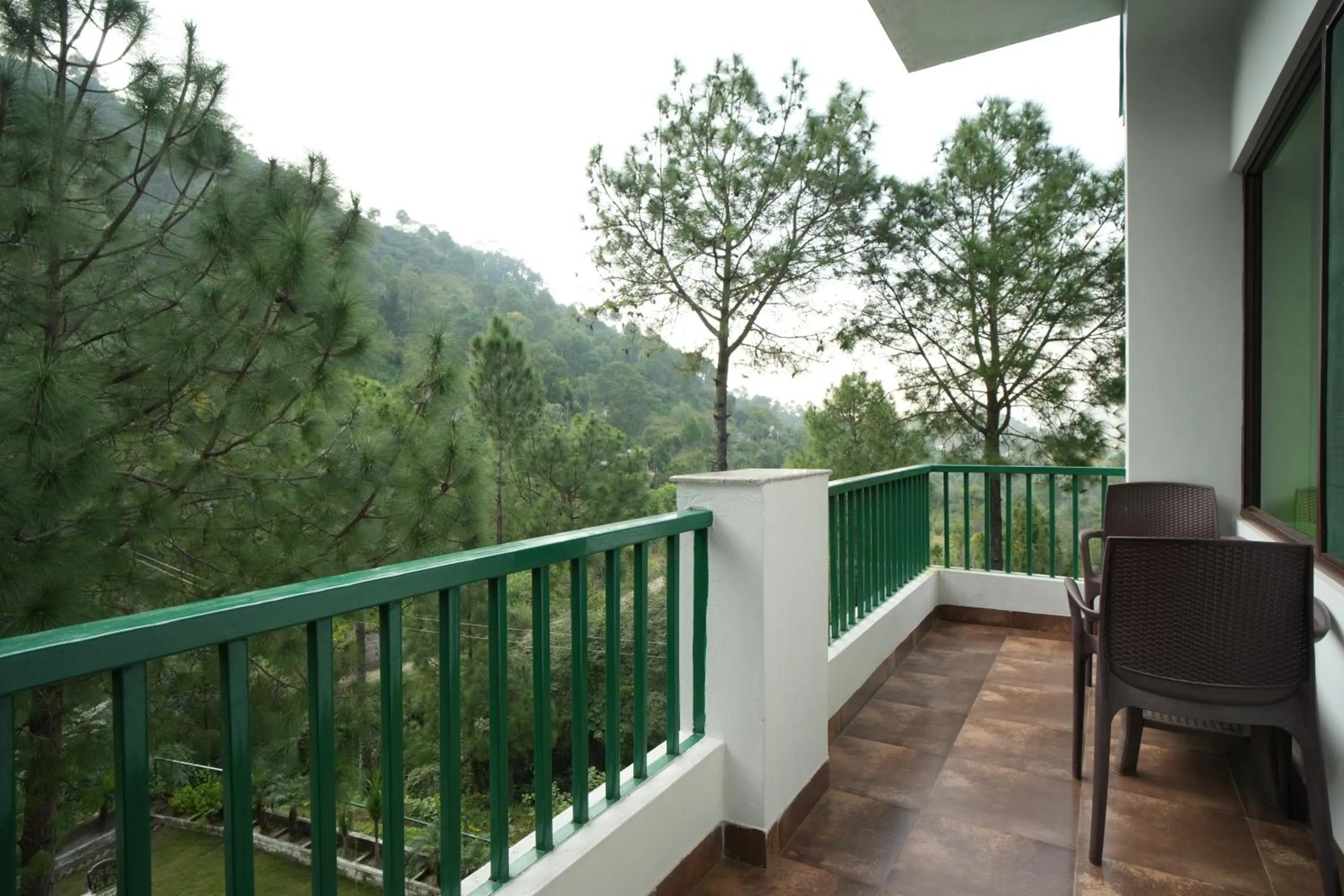 Natural landscape in Pineland Resorts & Chalets Kasauli
