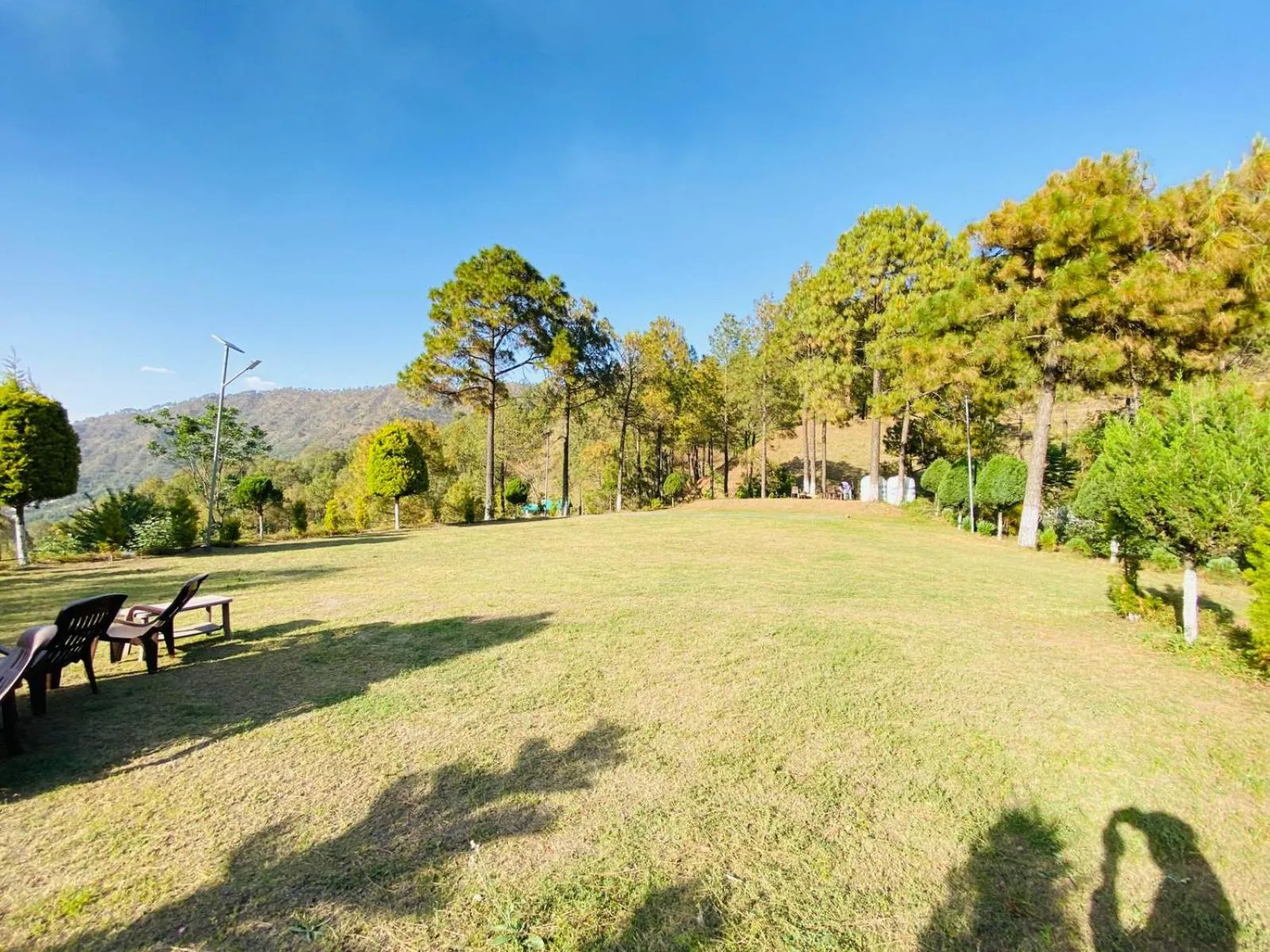 Natural landscape in Pineland Resorts & Chalets Kasauli