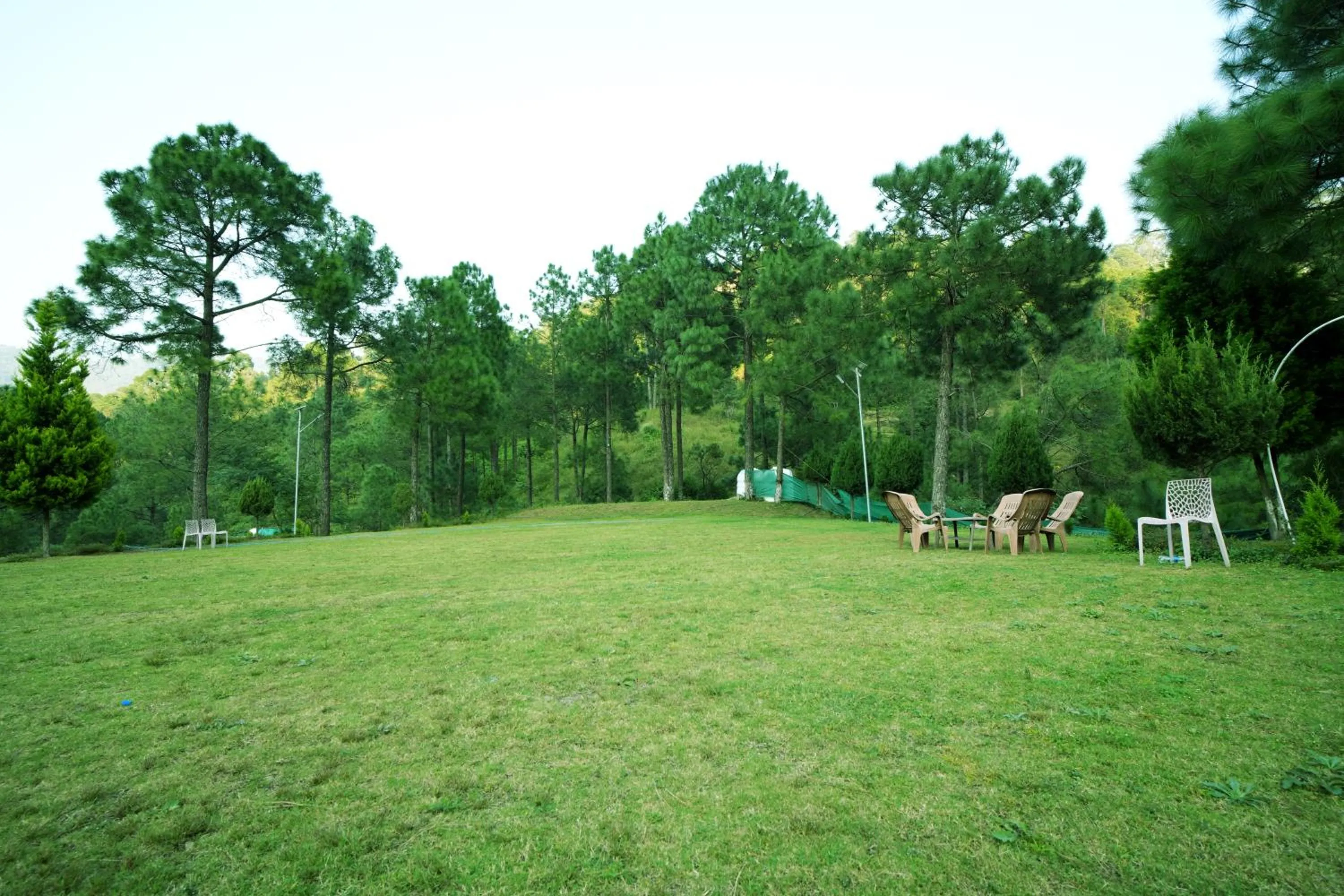 Garden view in Pineland Resorts & Chalets Kasauli