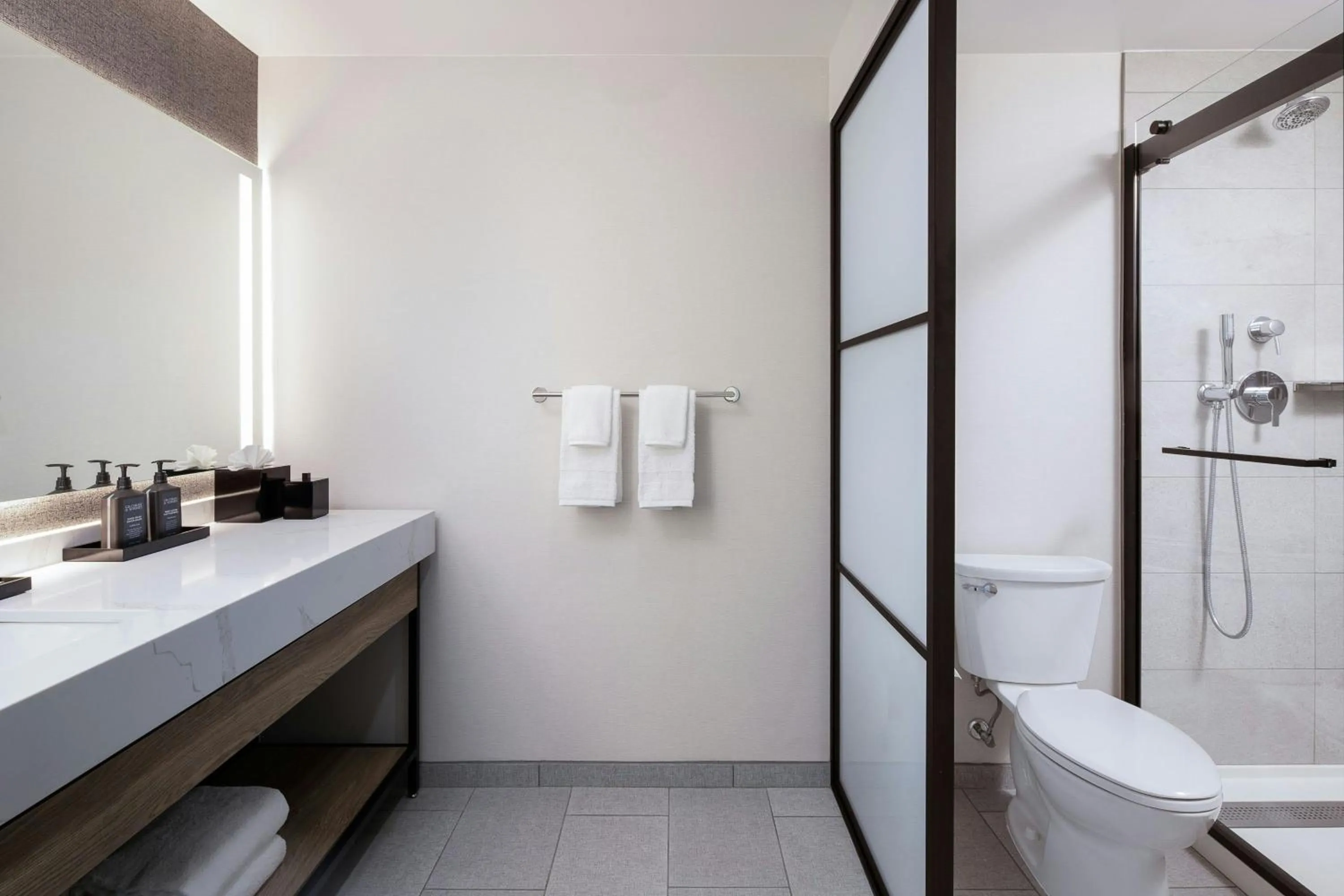 Bathroom in Sheraton Fort Worth Downtown Hotel