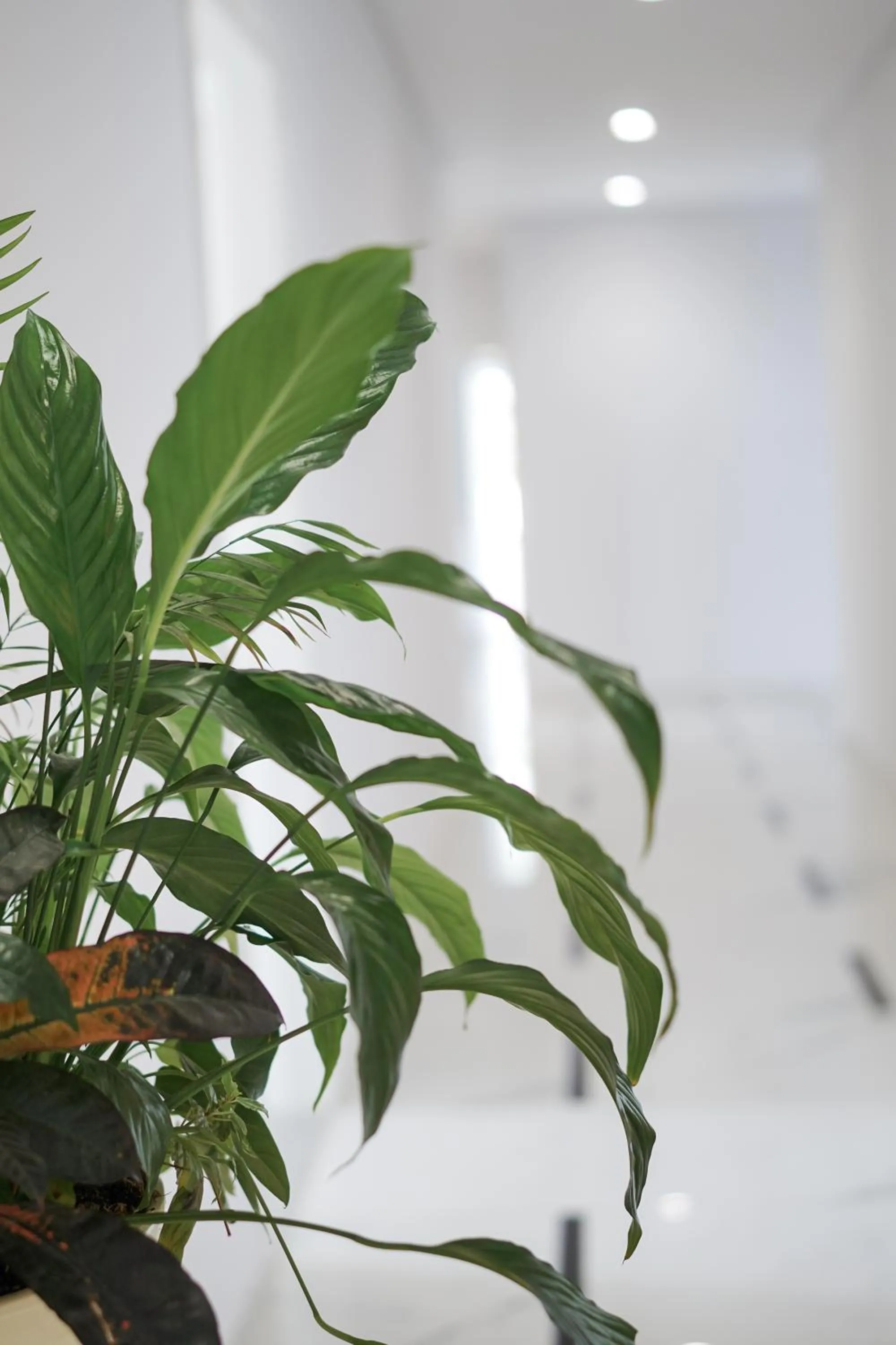 Property building in Relax Mea Hotel