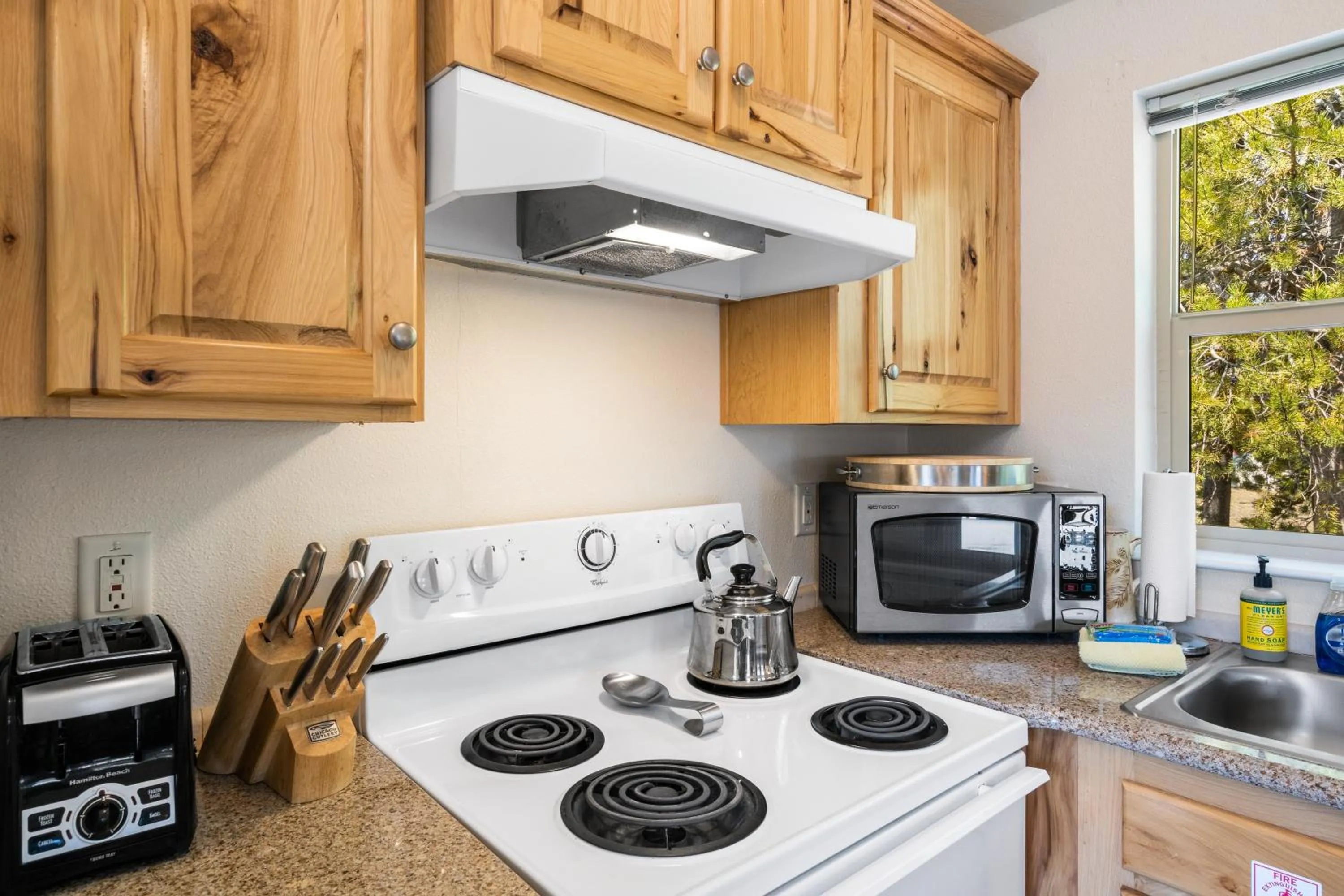 Kitchen or kitchenette in Alpine #1