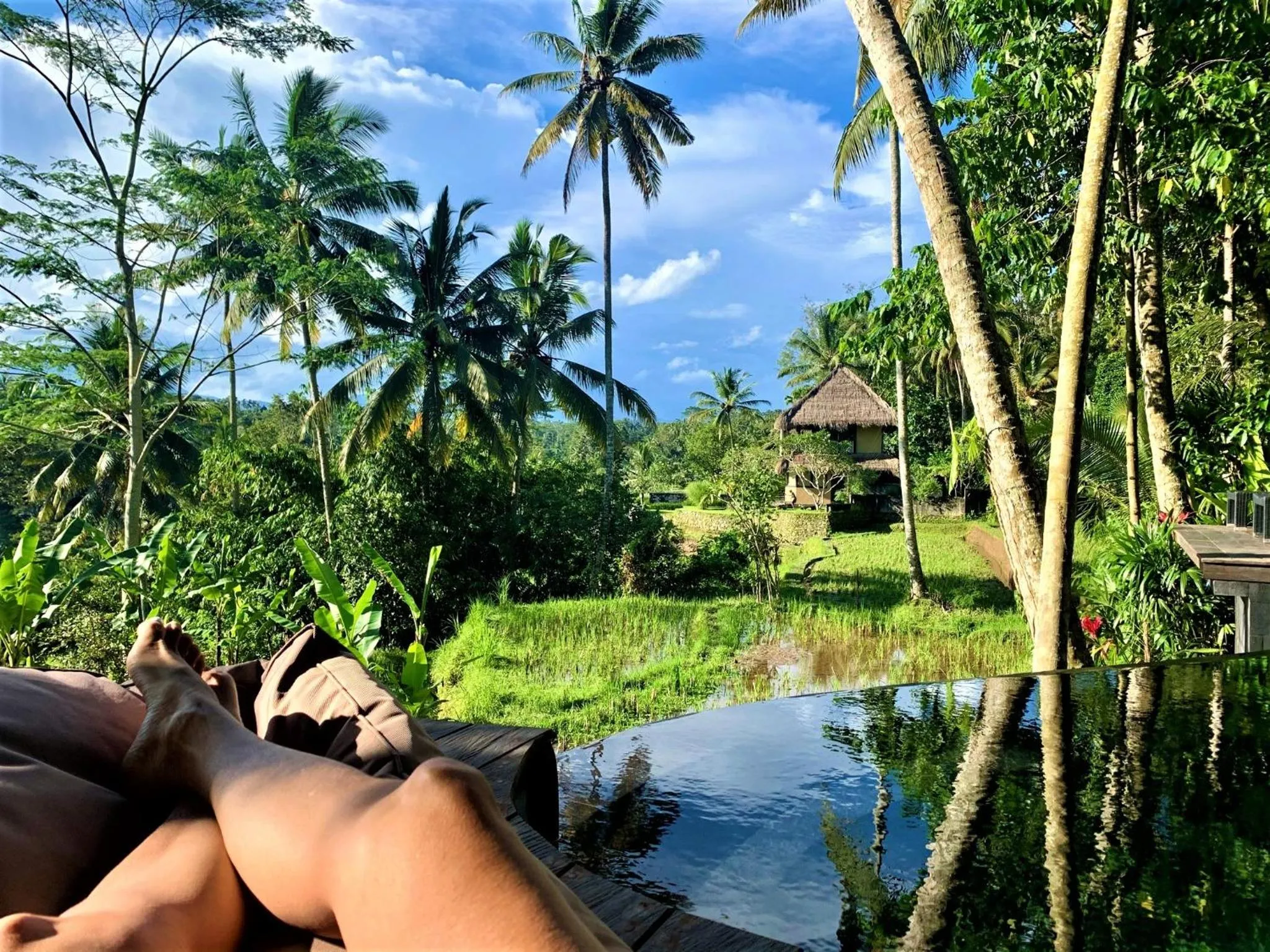 View (from property/room) in Masakali Retreat