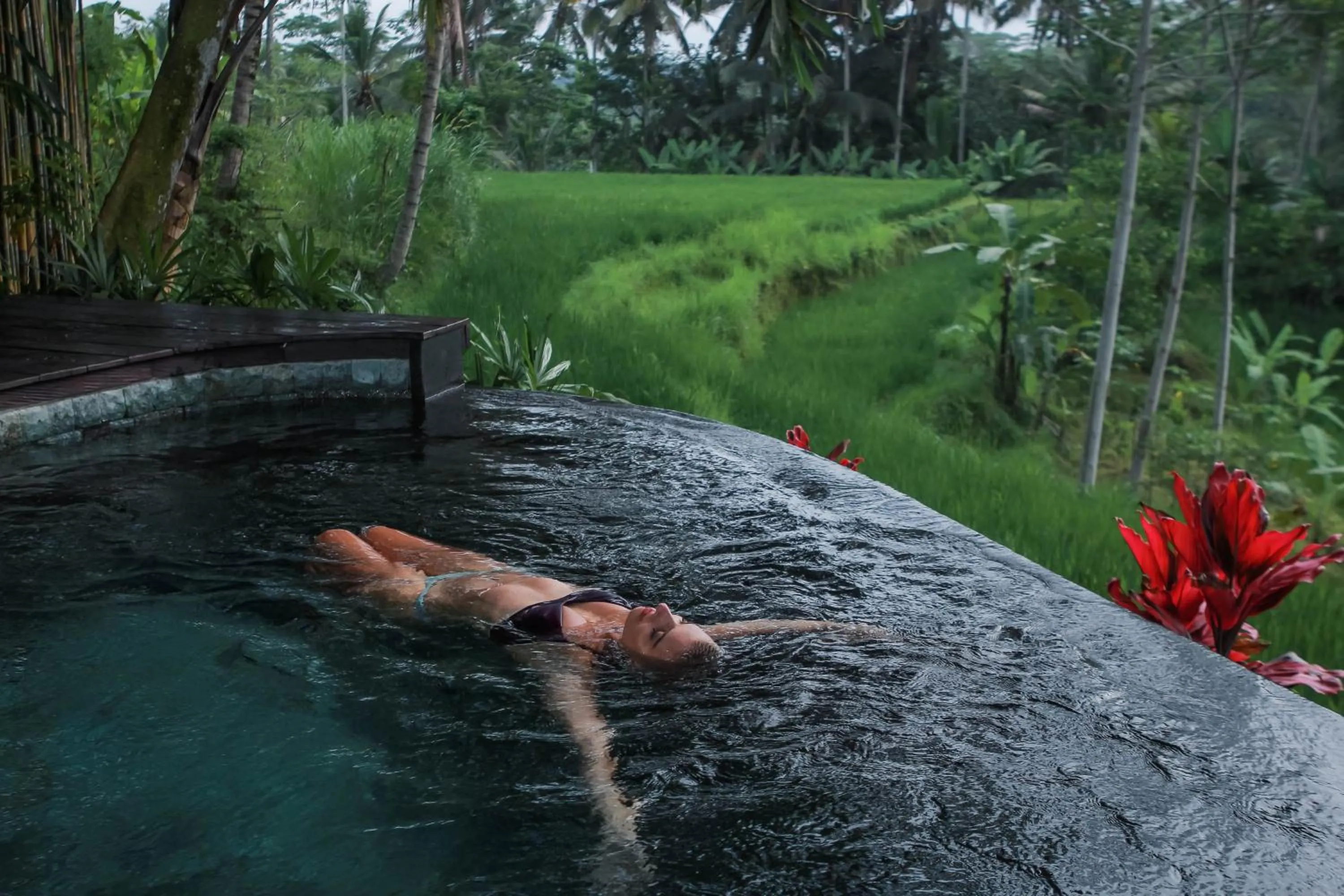 Swimming pool in Masakali Retreat