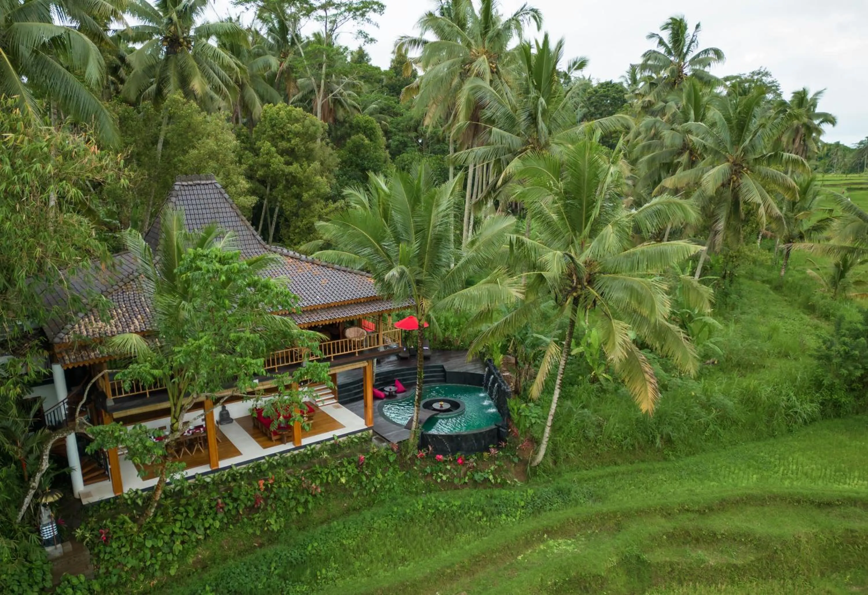 View (from property/room) in Masakali Retreat