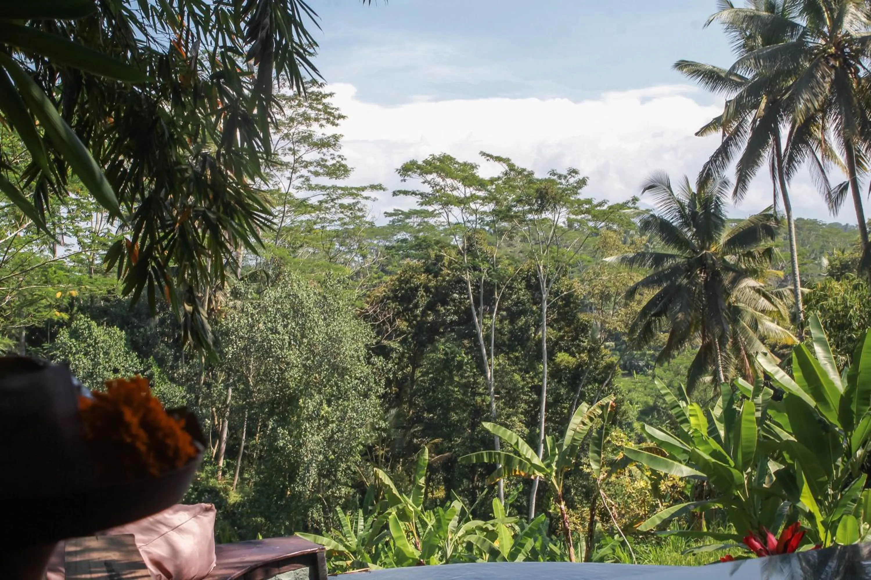 View (from property/room) in Masakali Retreat