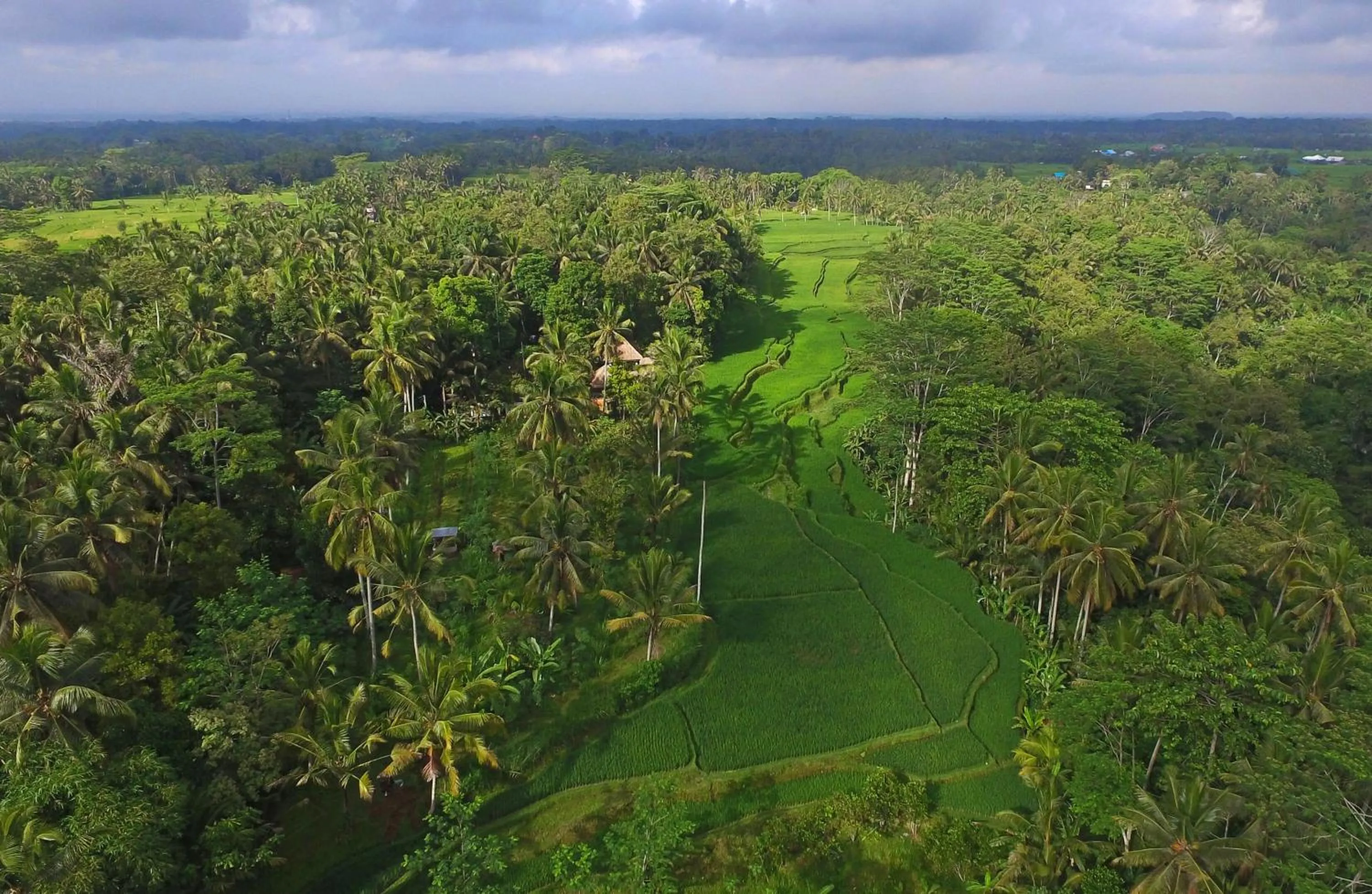Landmark view in Masakali Retreat
