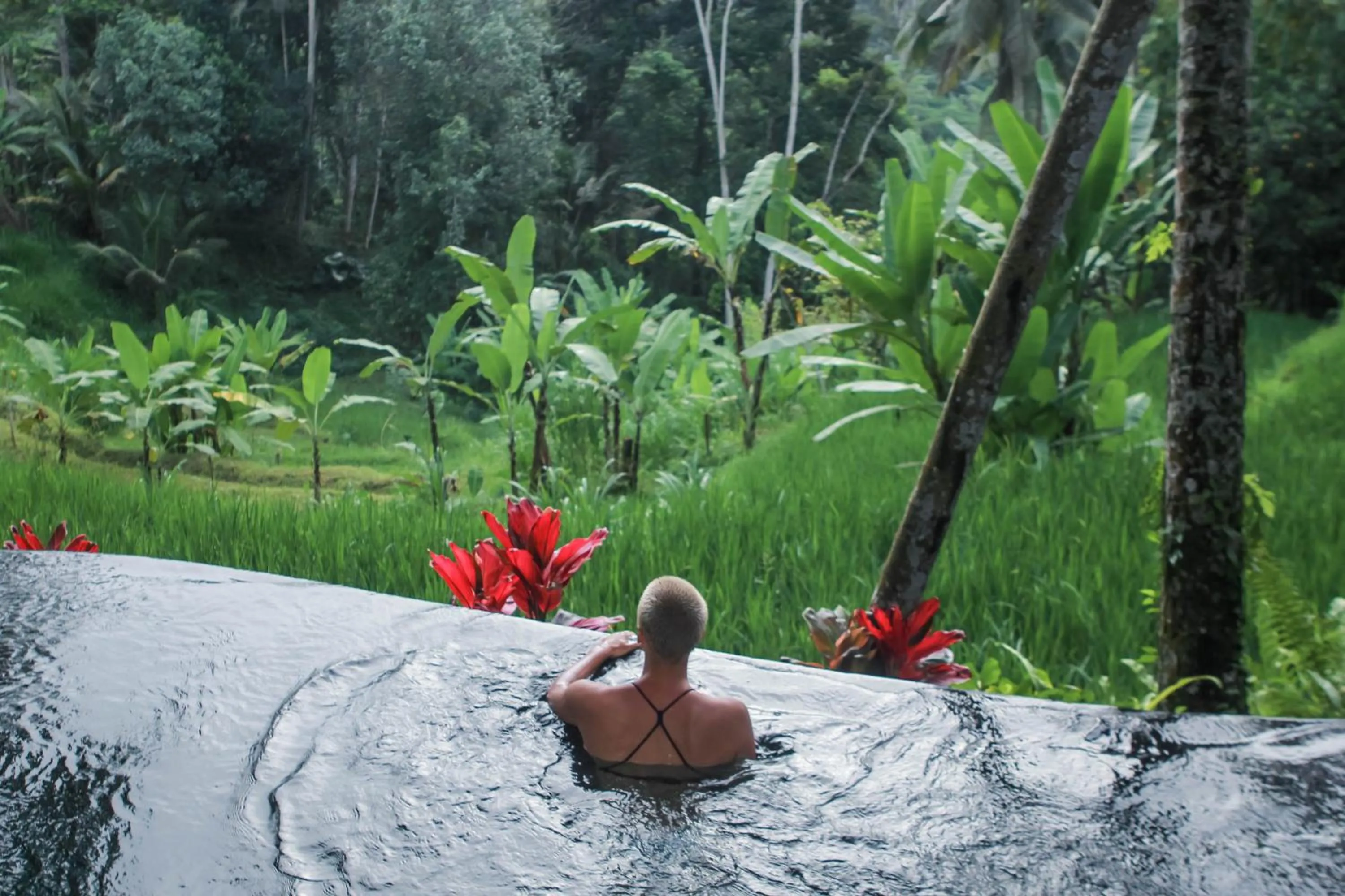 Swimming pool in Masakali Retreat