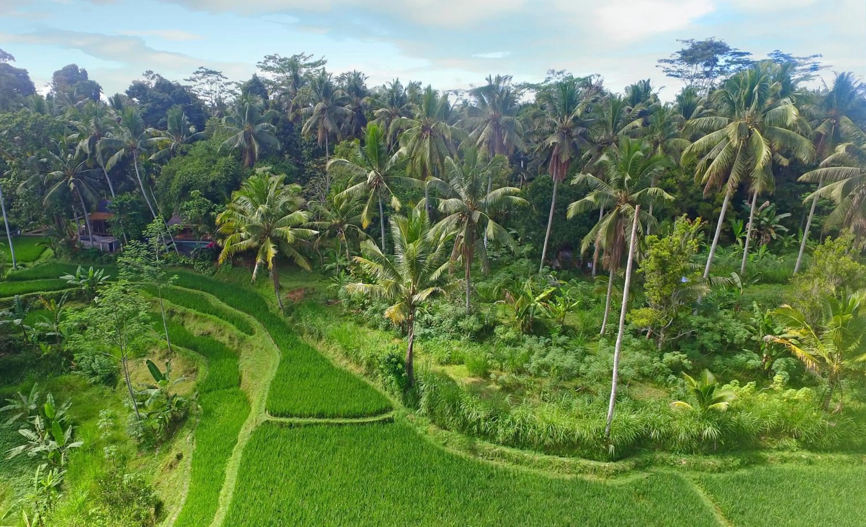View (from property/room) in Masakali Retreat
