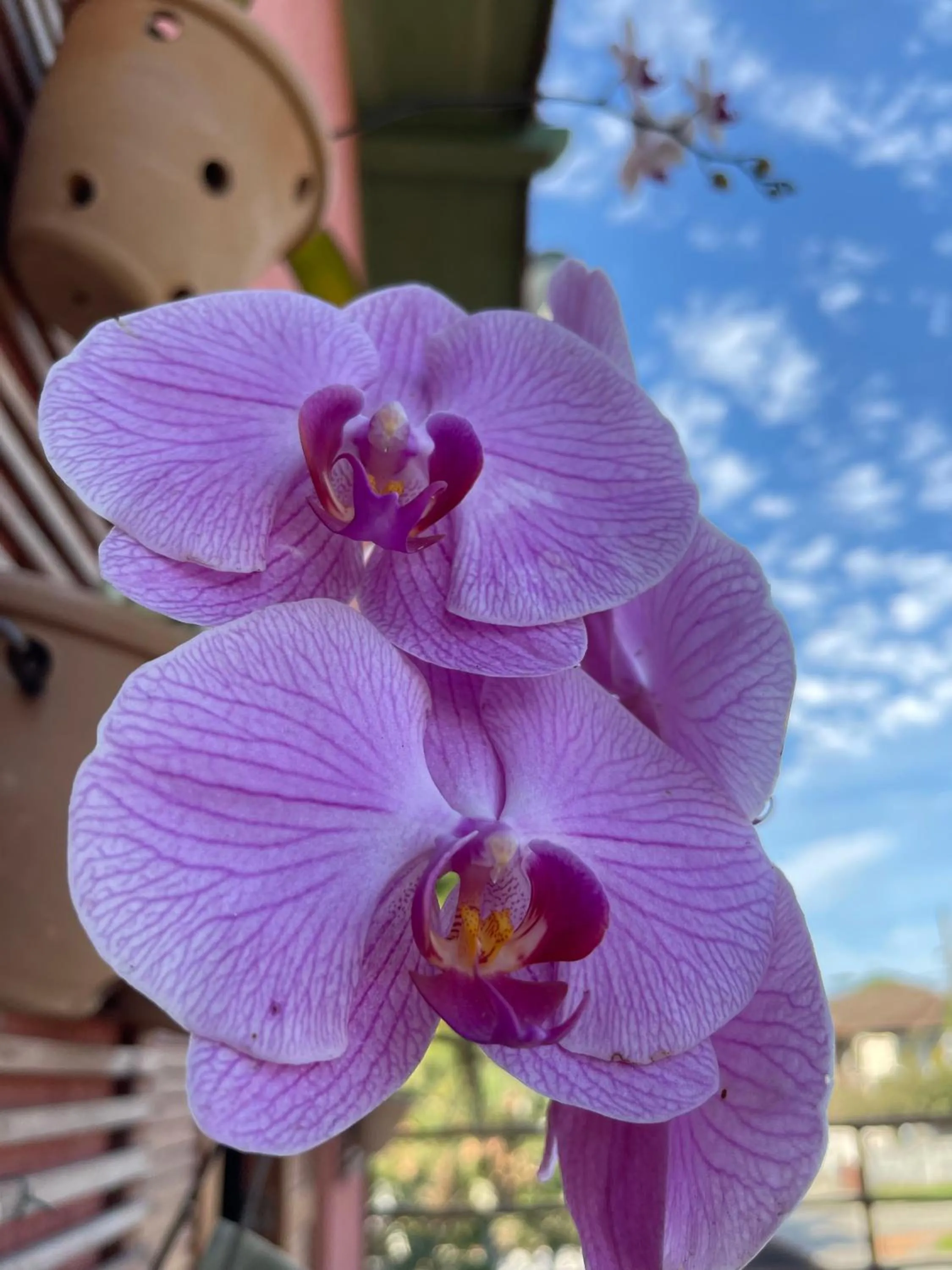 Decorative detail in Pousada Cristhal Paraty