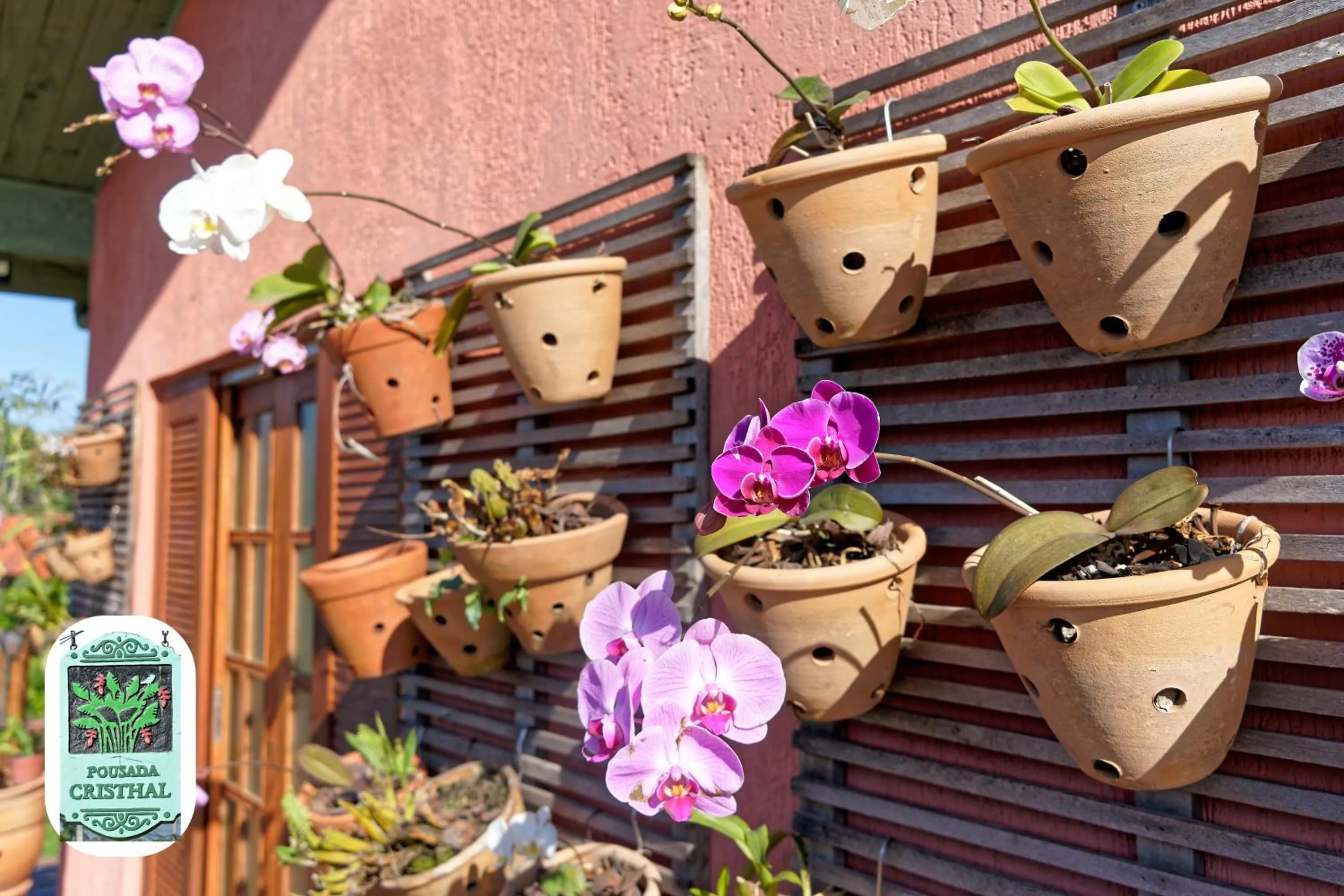 Spring in Pousada Cristhal Paraty