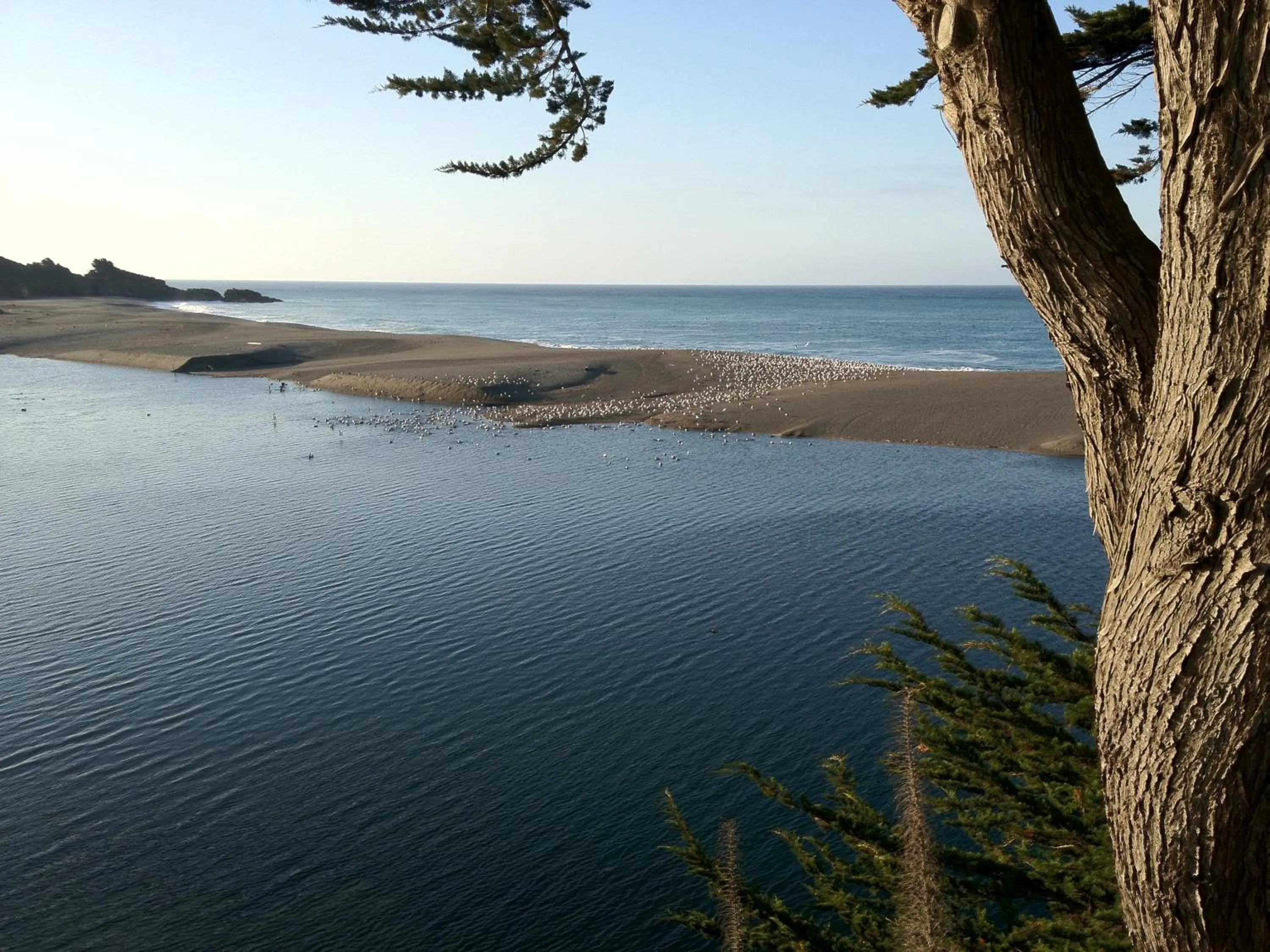 View (from property/room) in Gualala Surf Inn on the ocean bluff