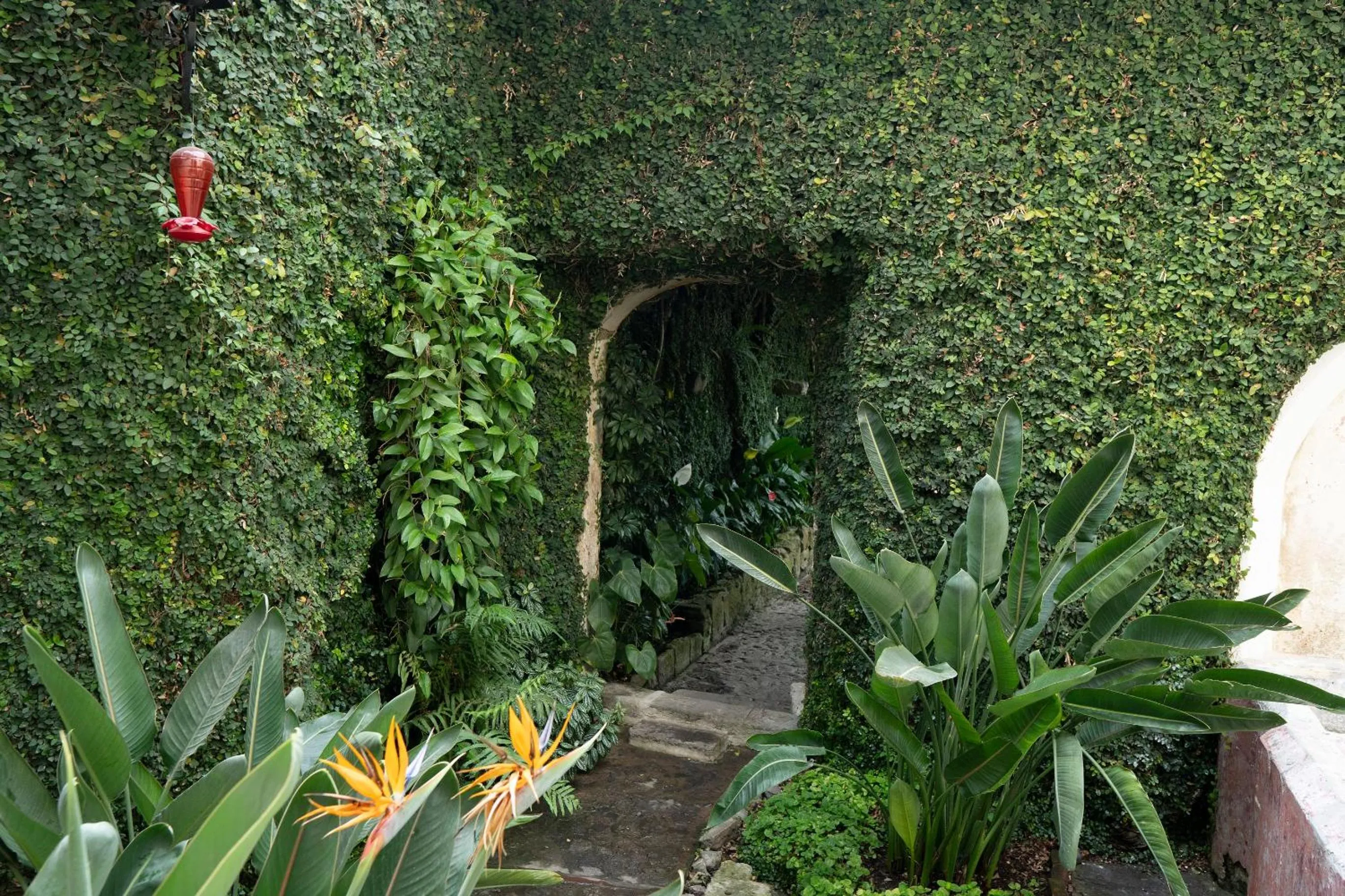 Garden in Casa Noble Hotel