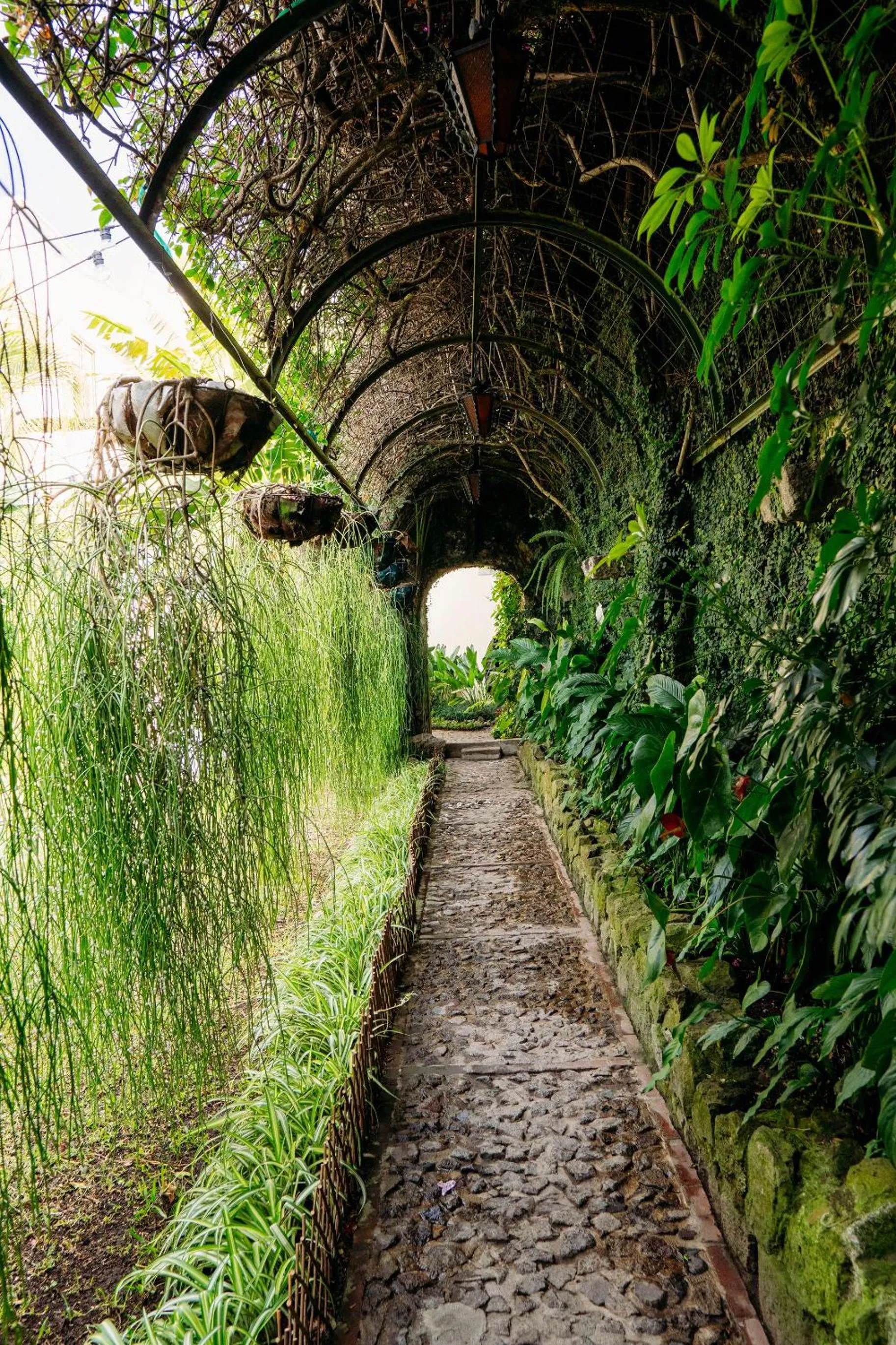 Garden in Casa Noble Hotel