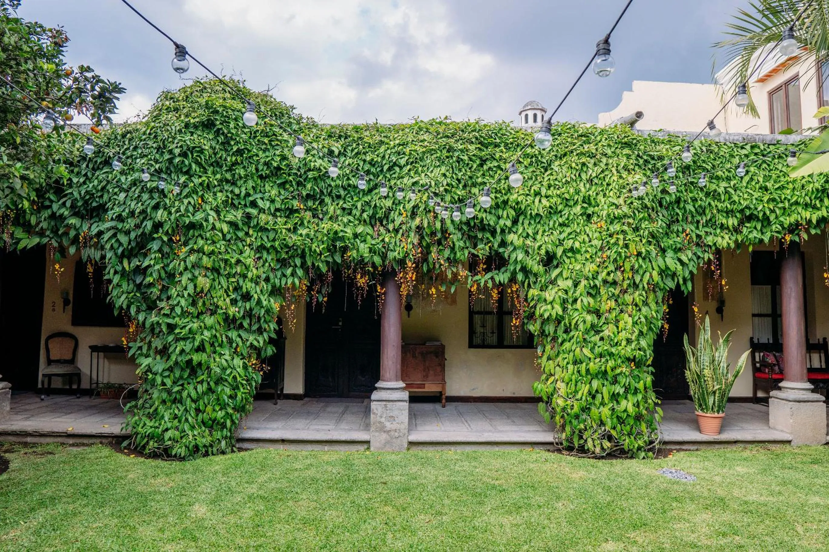 Garden in Casa Noble Hotel