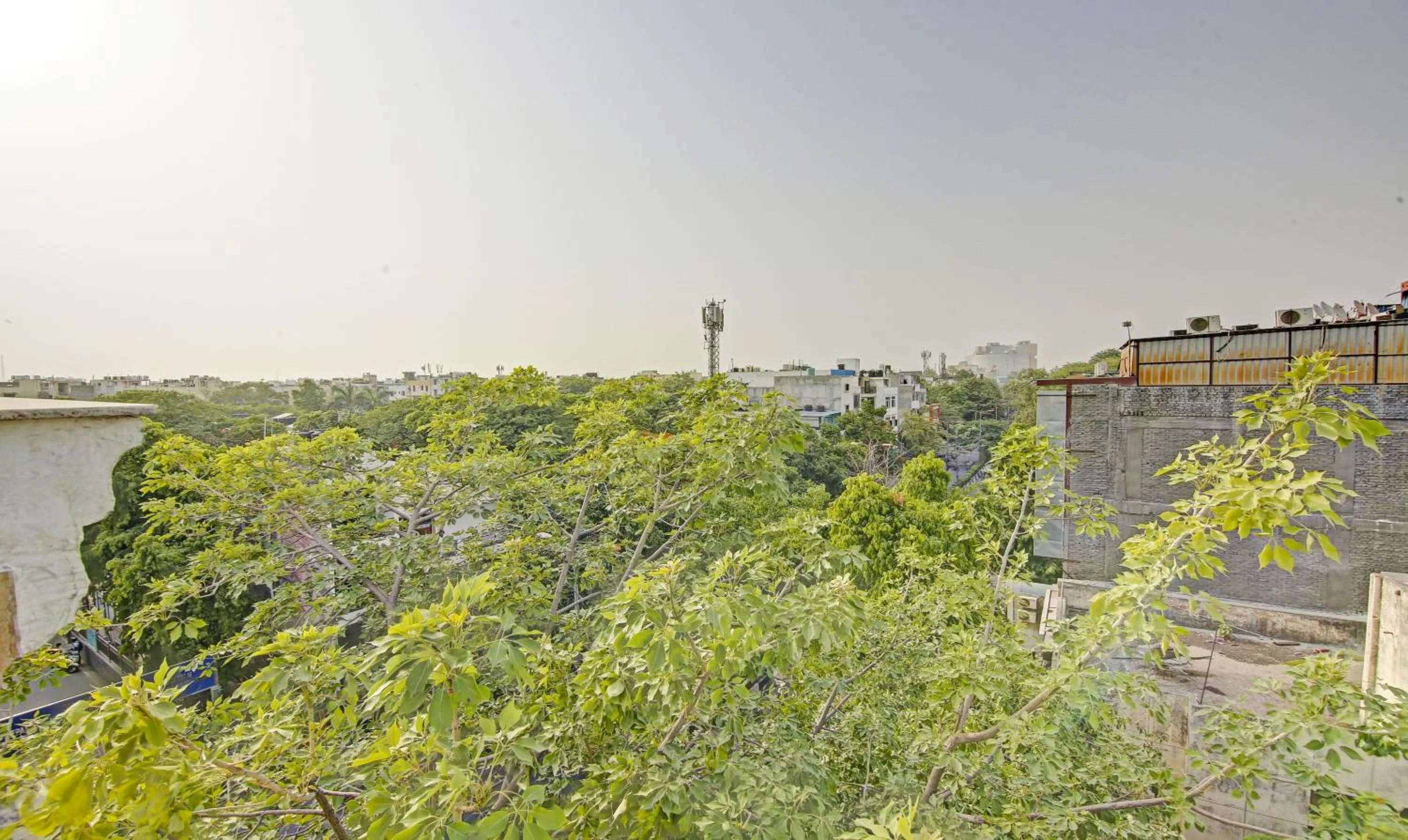 Natural landscape in Treebo Mona Grand