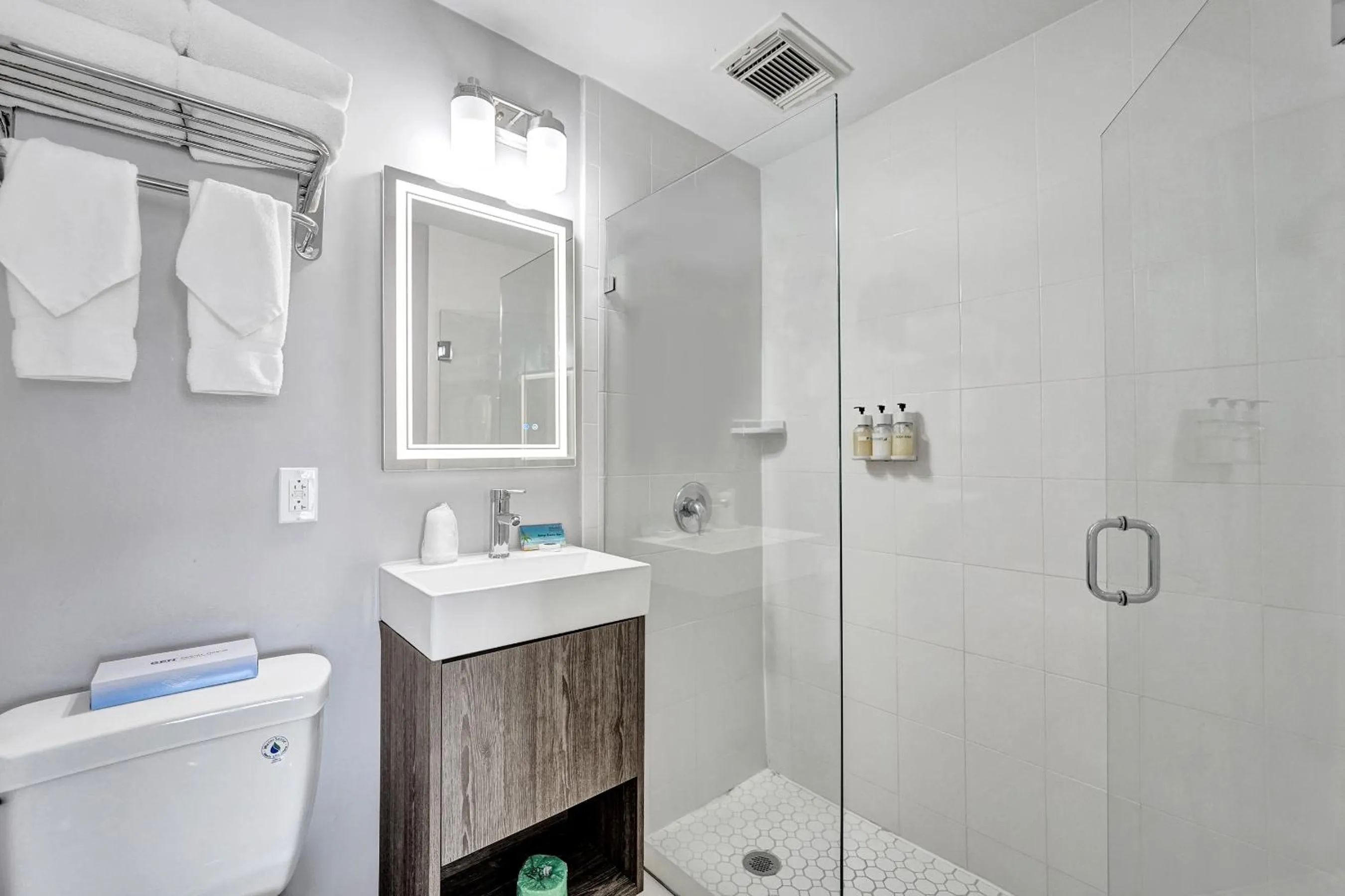 Shower in Hotel Sheldon