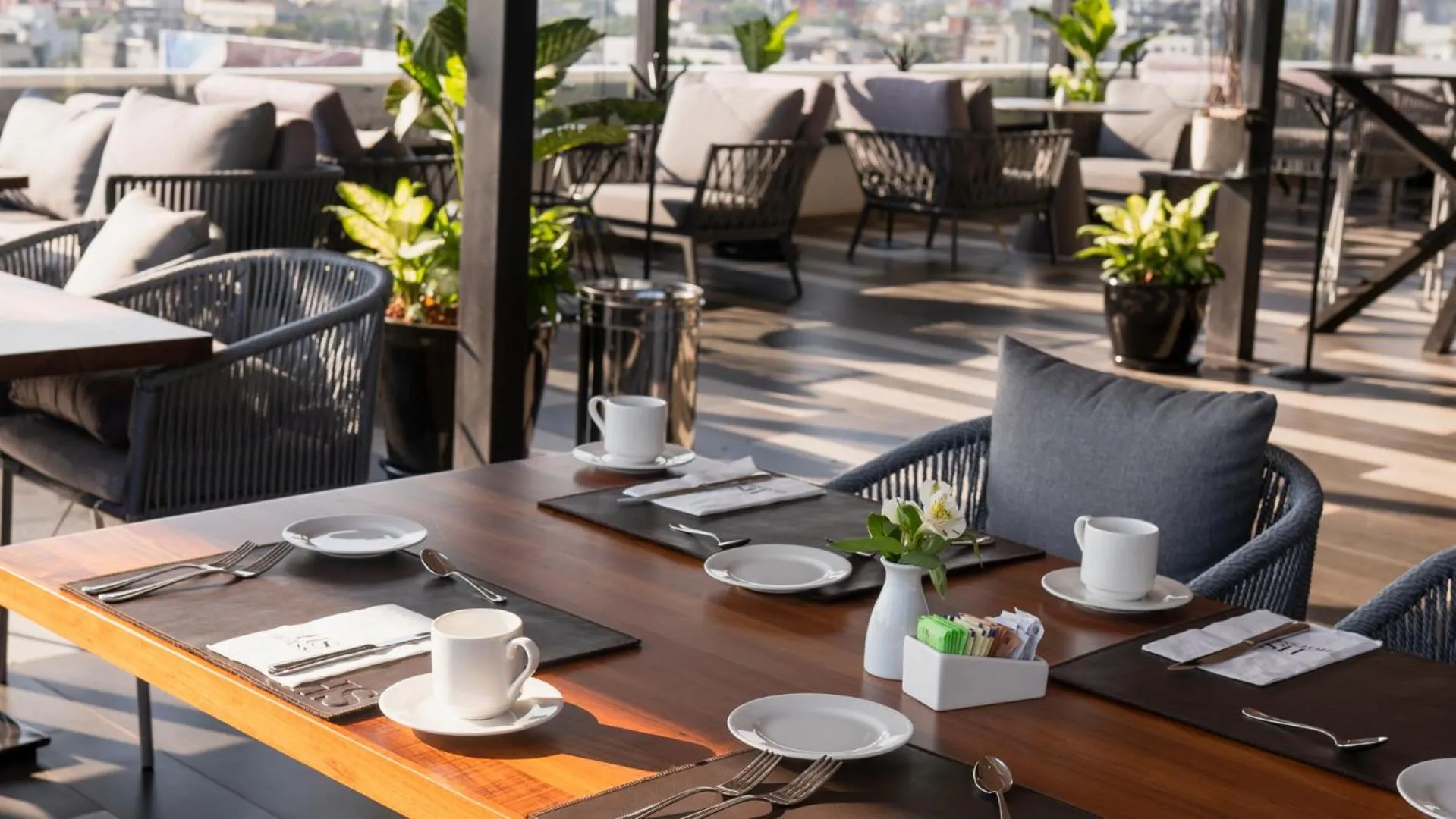 Restaurant/places to eat in HS HOTSSON CDMX Condesa Sur