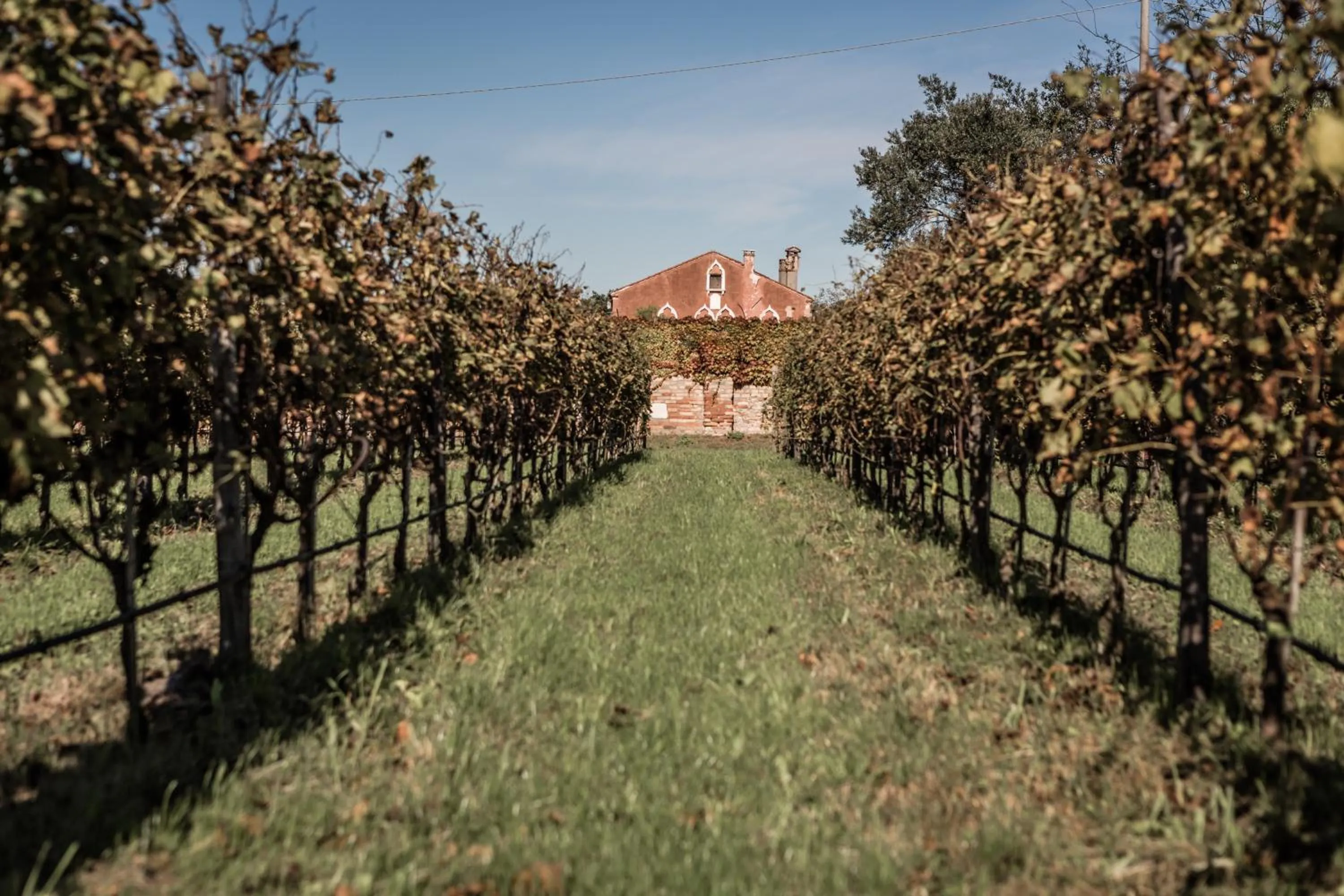 Natural landscape in Venissa Wine Resort